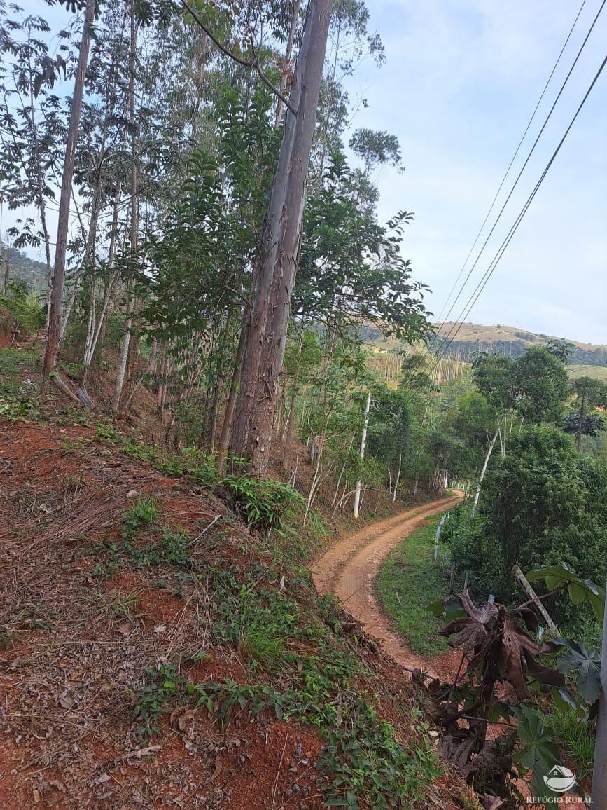 Terreno, 2 hectares - Foto 5