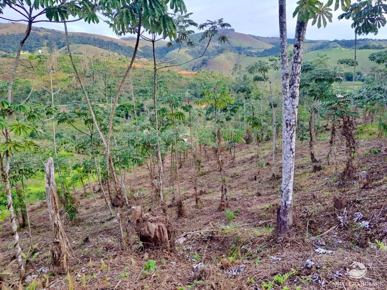 Terreno, 2 hectares - Foto 8