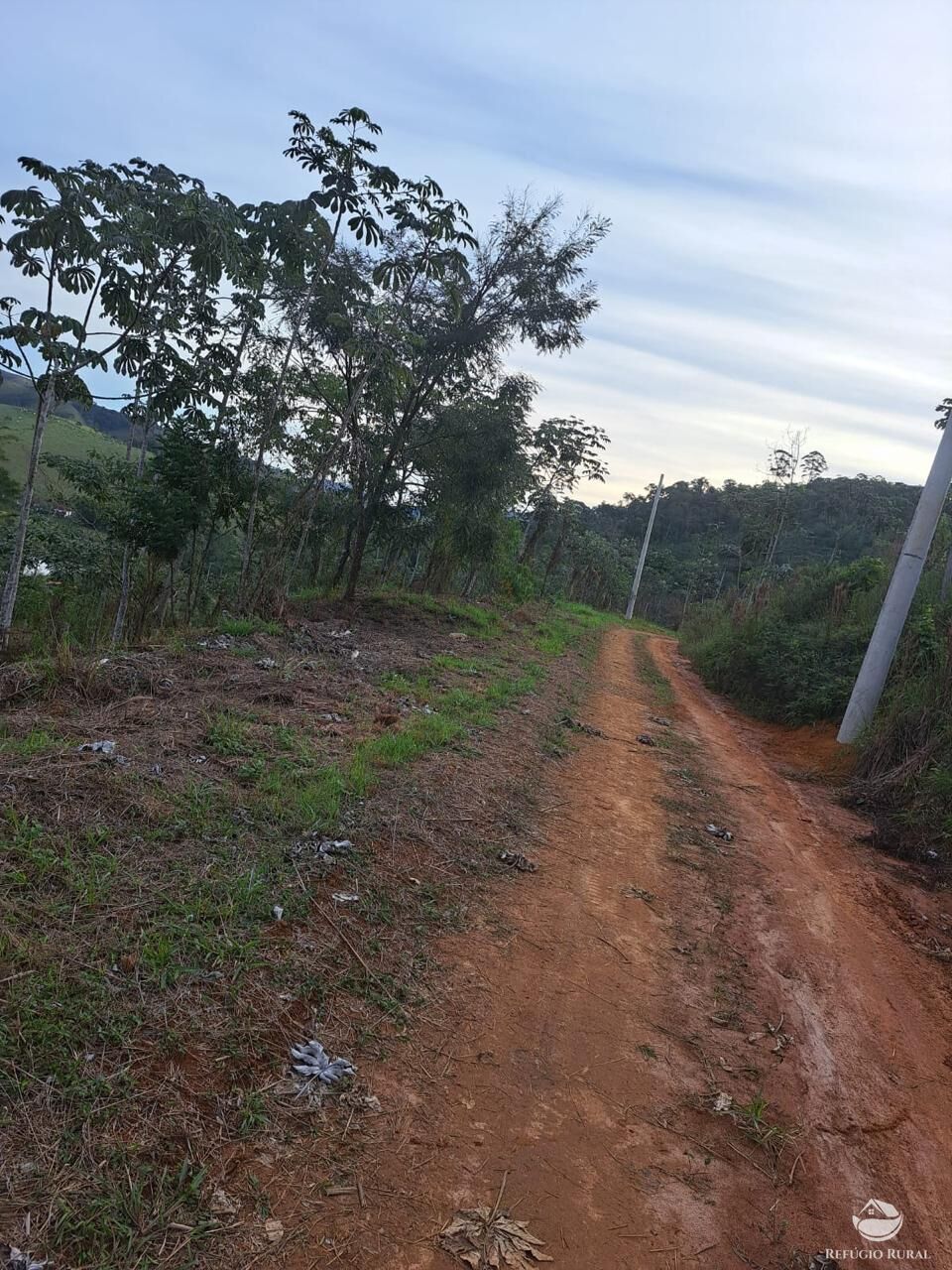 Terreno, 2 hectares - Foto 12