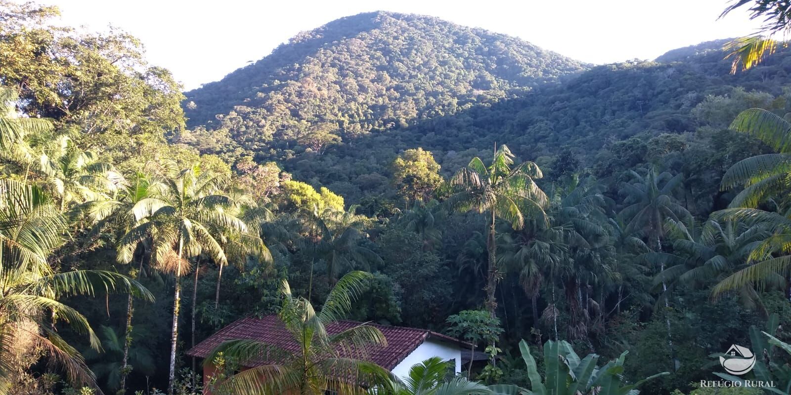 Fazenda à venda com 2 quartos, 240000m² - Foto 6