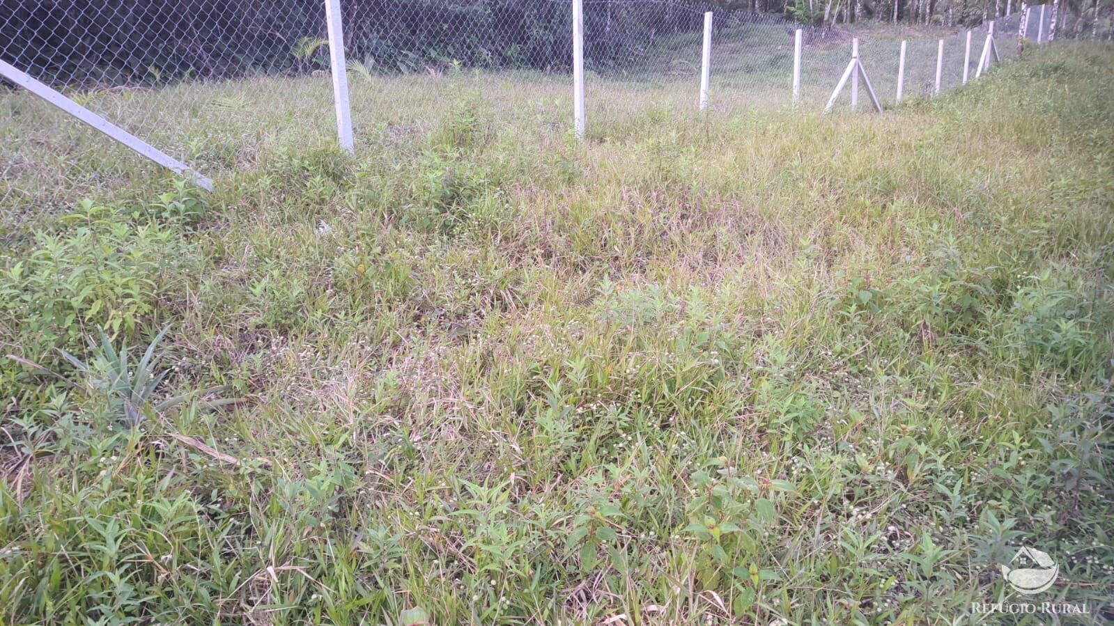 Fazenda à venda com 2 quartos, 240000m² - Foto 25