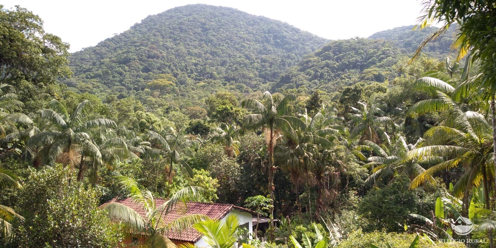 Fazenda à venda com 2 quartos, 240000m² - Foto 18