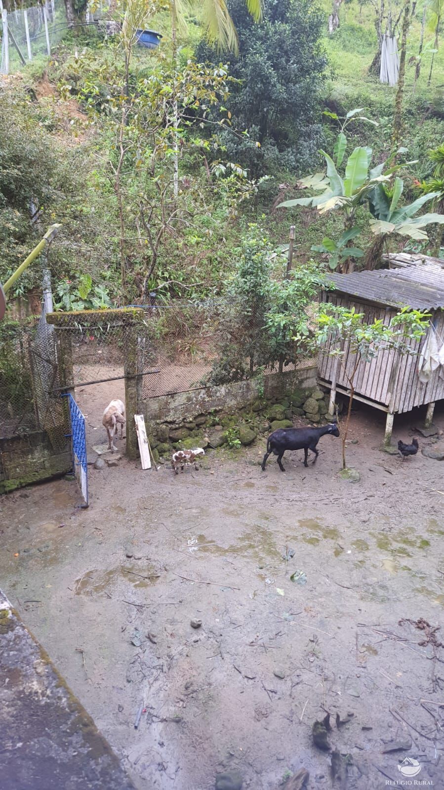 Fazenda à venda com 2 quartos, 240000m² - Foto 21