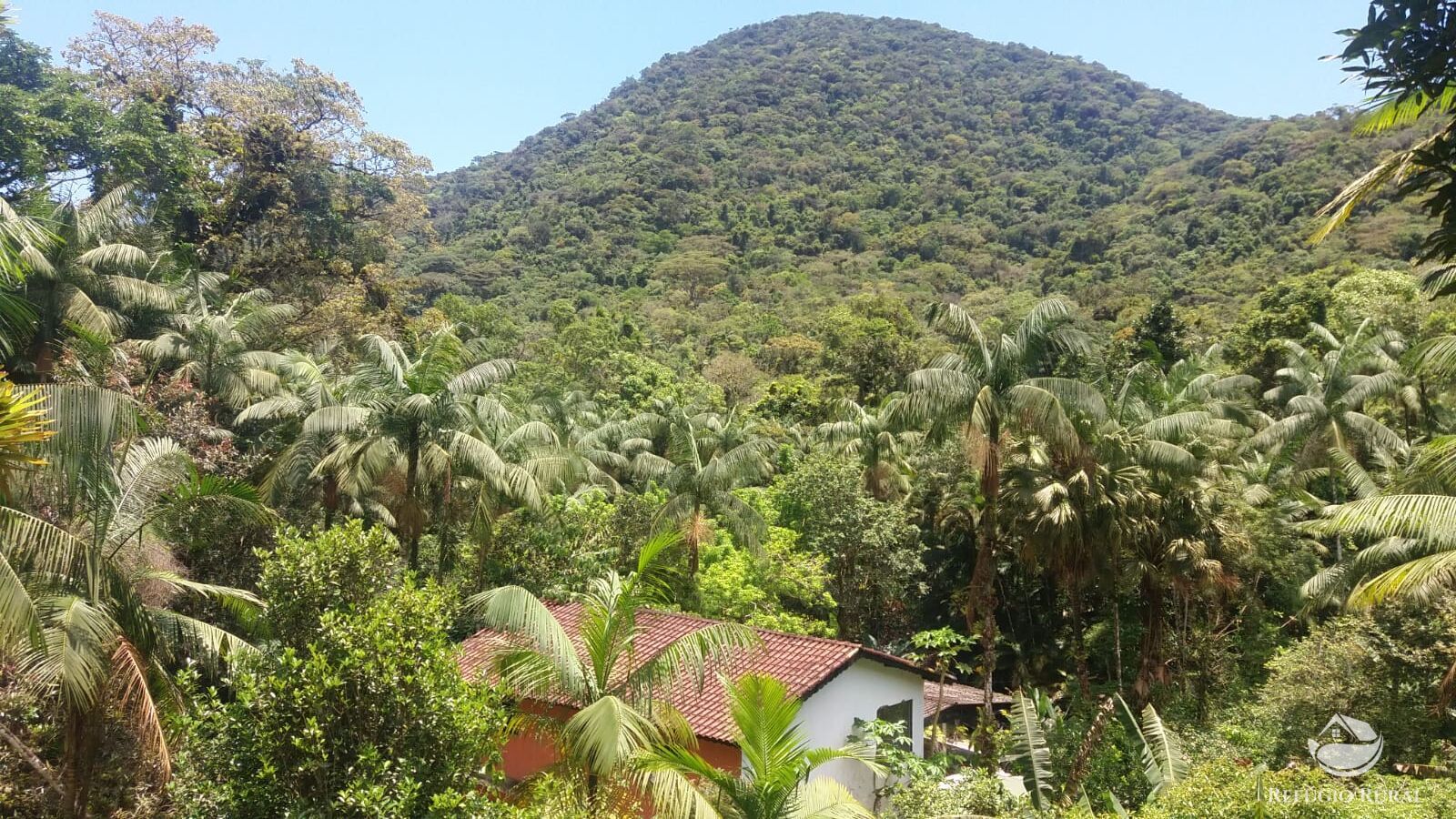 Fazenda à venda com 2 quartos, 240000m² - Foto 19