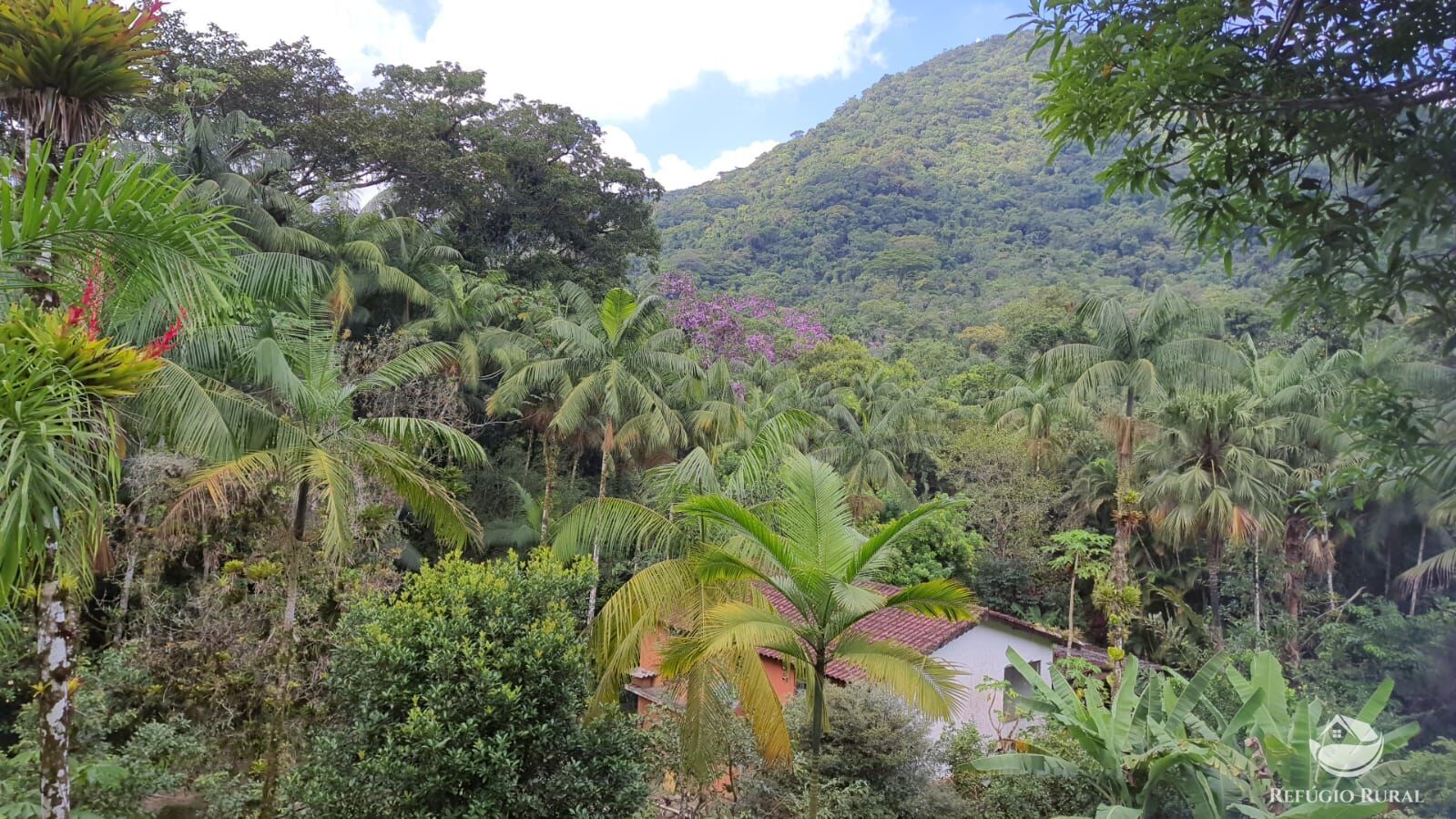 Fazenda à venda com 2 quartos, 240000m² - Foto 1