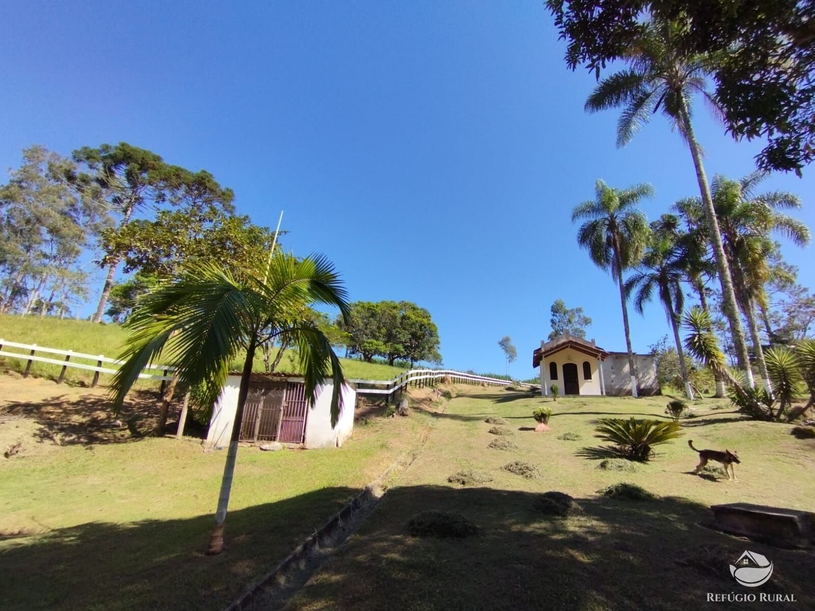 Fazenda à venda com 3 quartos, 72600m² - Foto 6