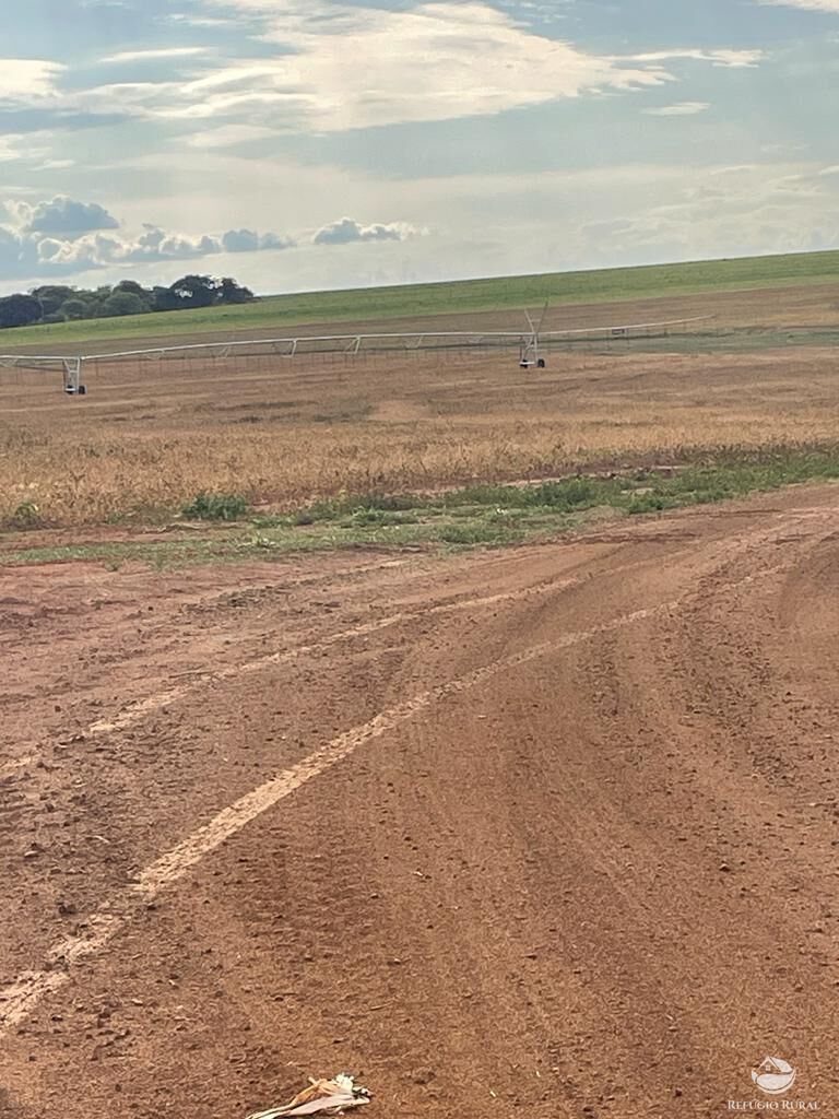 Fazenda, 1852 hectares - Foto 8