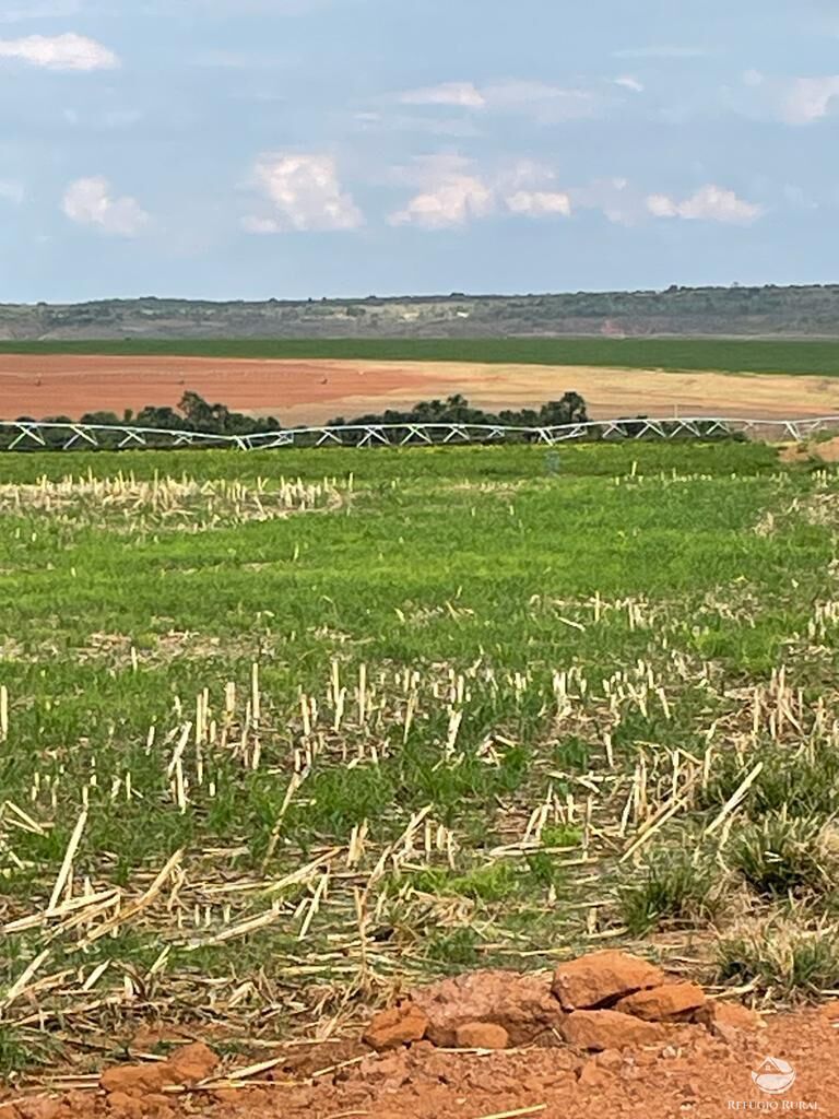 Fazenda-Sítio-Chácara, 1852 hectares - Foto 4