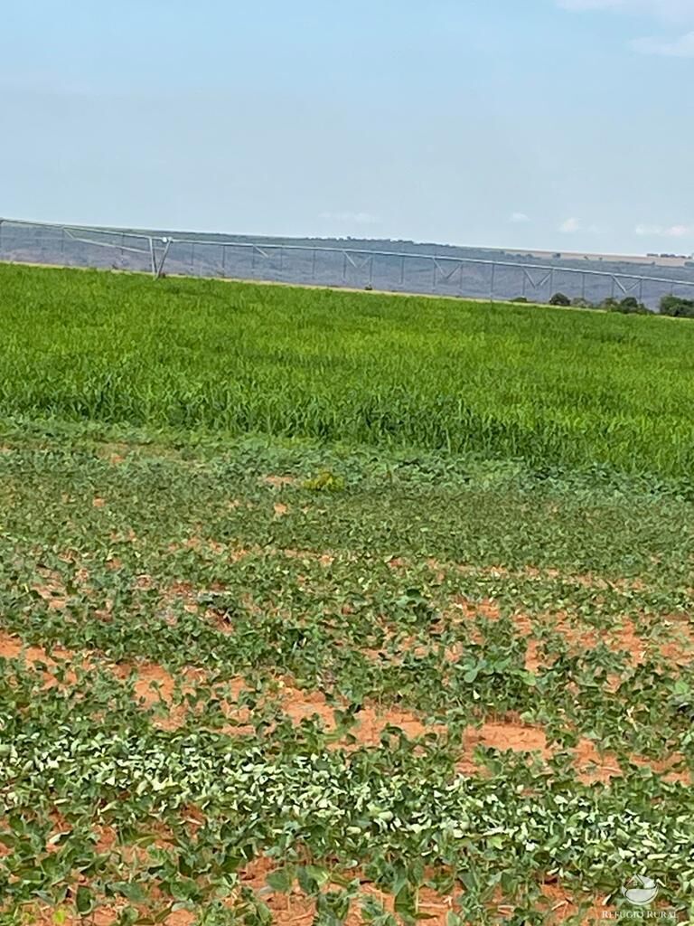 Fazenda-Sítio-Chácara, 1852 hectares - Foto 3
