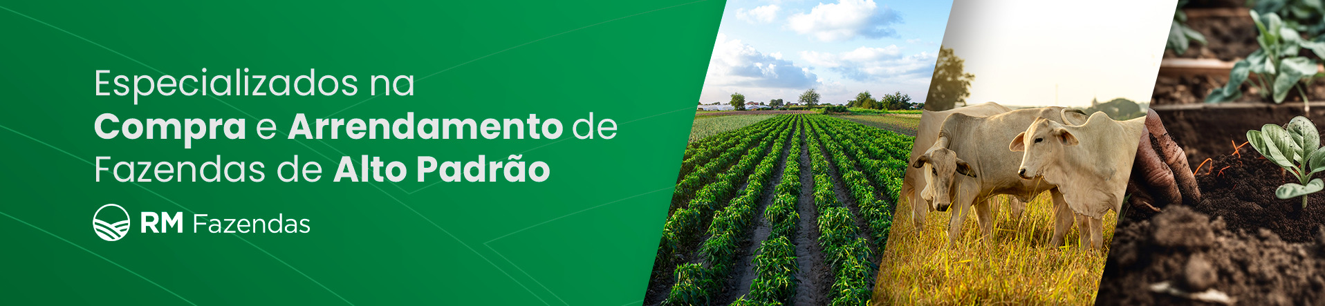 RUBENS ADRIANO - CONSULTOR DE NEGOCIO IMOBILIARIA LTDA