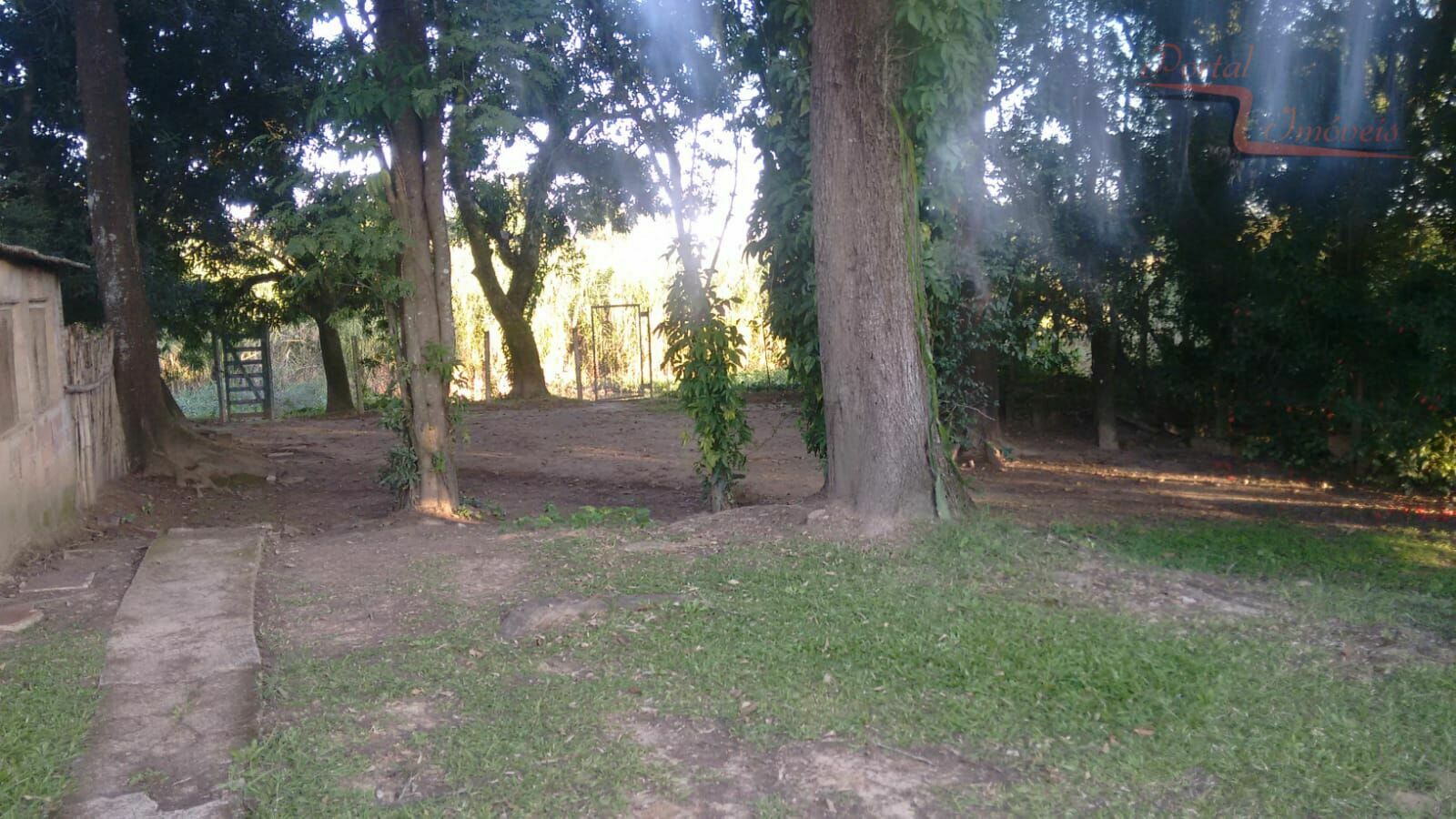 Fazenda à venda com 5 quartos, 2005m² - Foto 41