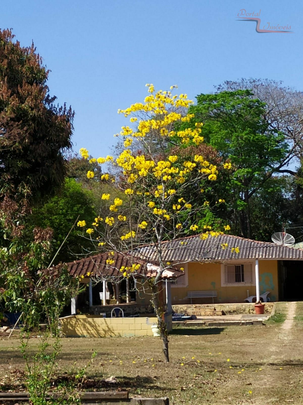 Fazenda à venda com 5 quartos, 2005m² - Foto 22