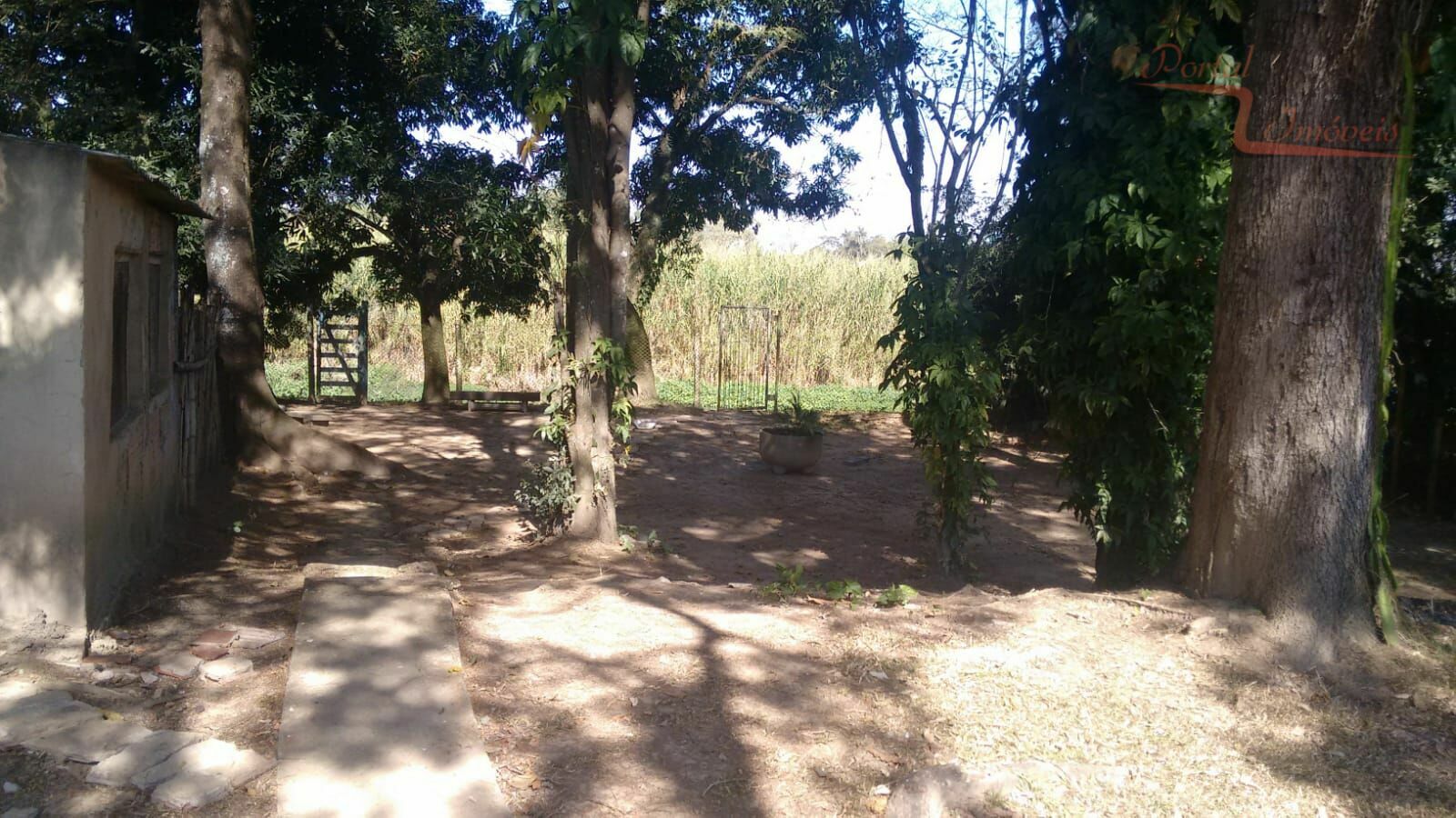 Fazenda à venda com 5 quartos, 2005m² - Foto 28