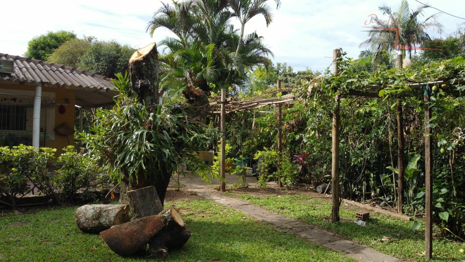 Fazenda à venda com 5 quartos, 2005m² - Foto 5