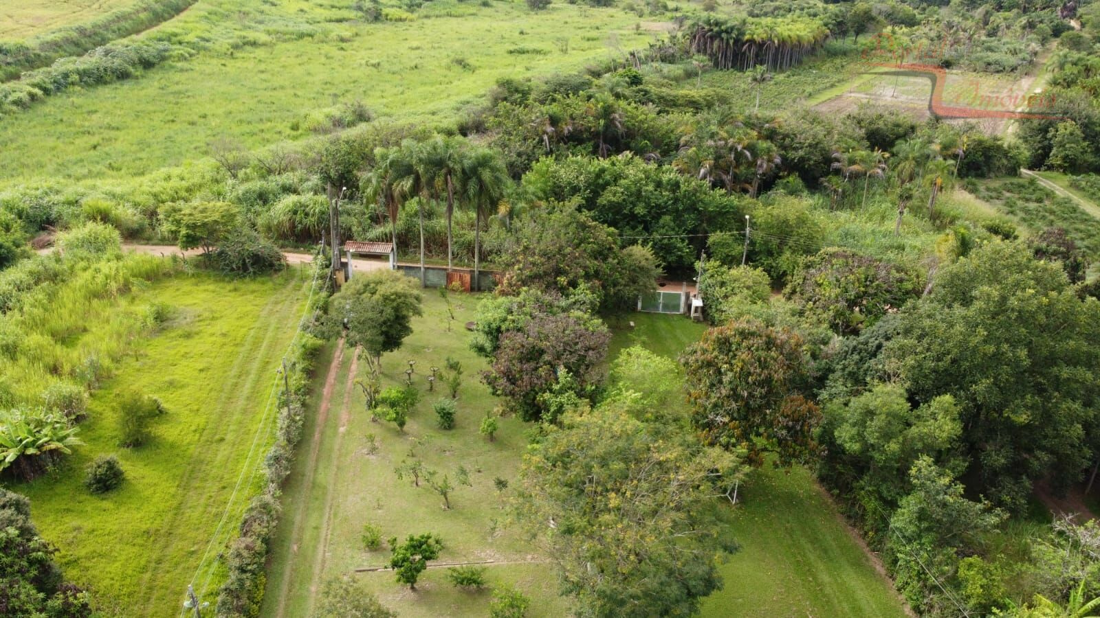 Fazenda à venda com 5 quartos, 2005m² - Foto 9