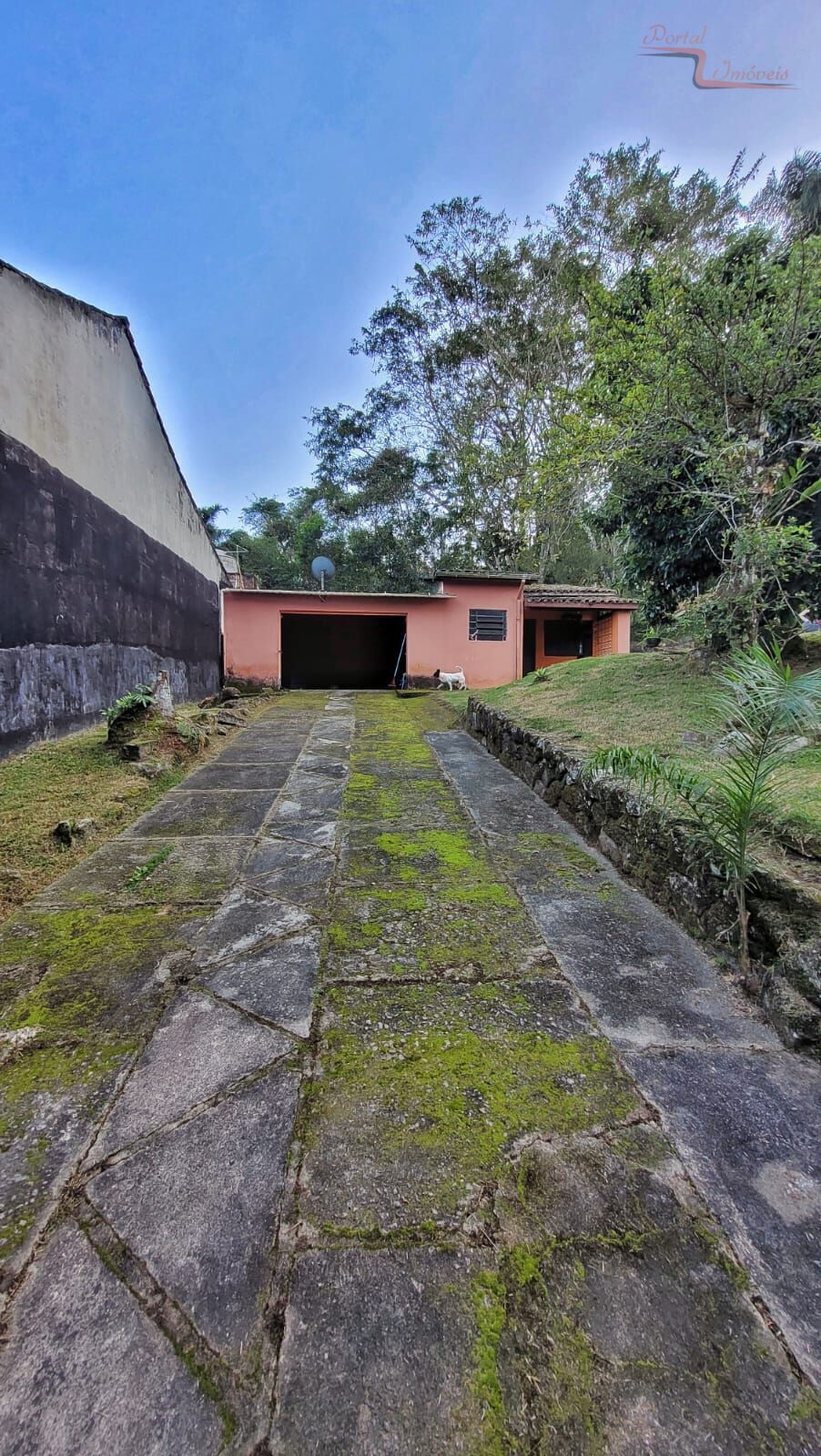 Fazenda à venda com 4 quartos, 1600m² - Foto 6