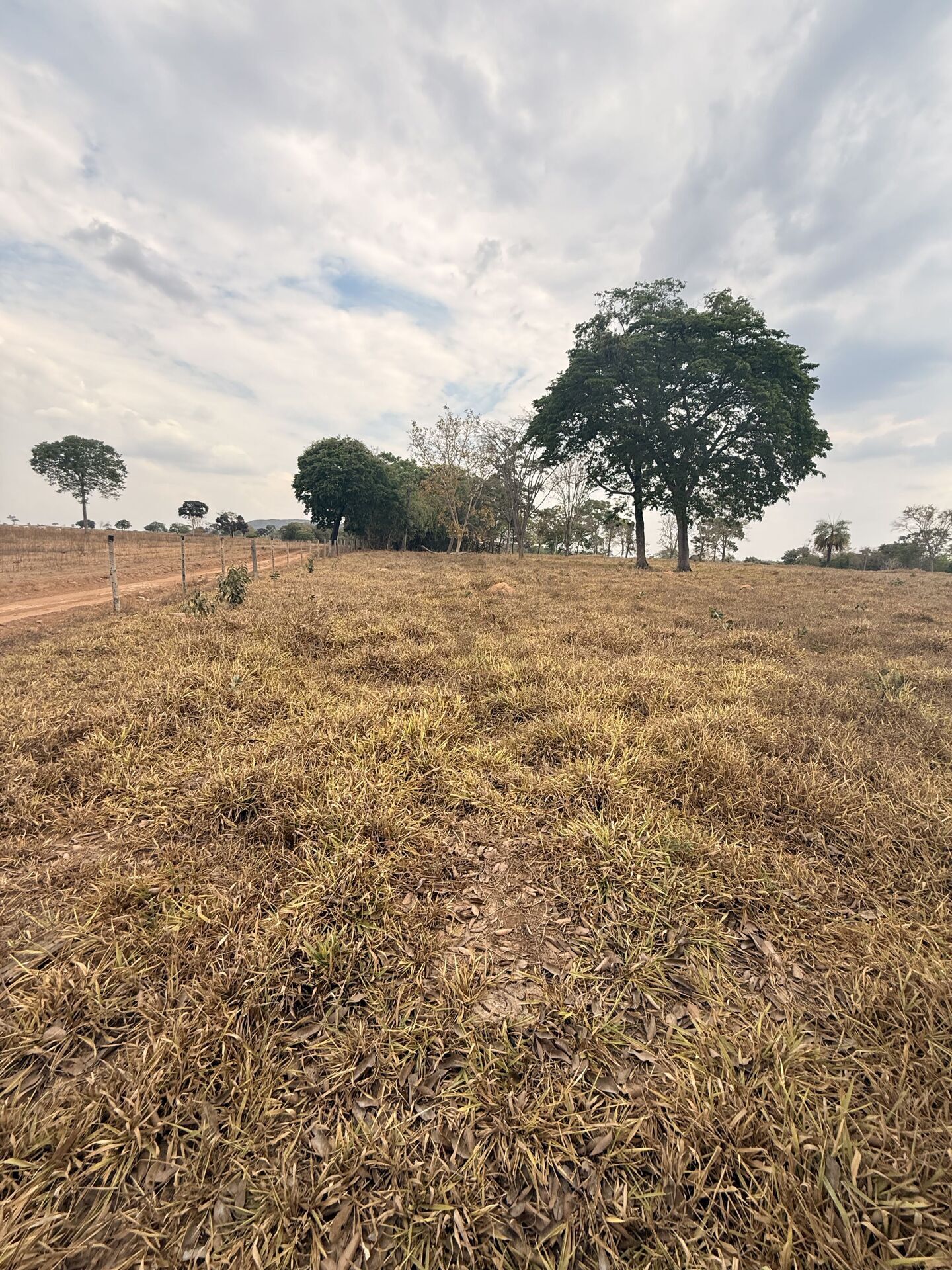 Chácara, 3 quartos, 5 m² - Foto 39