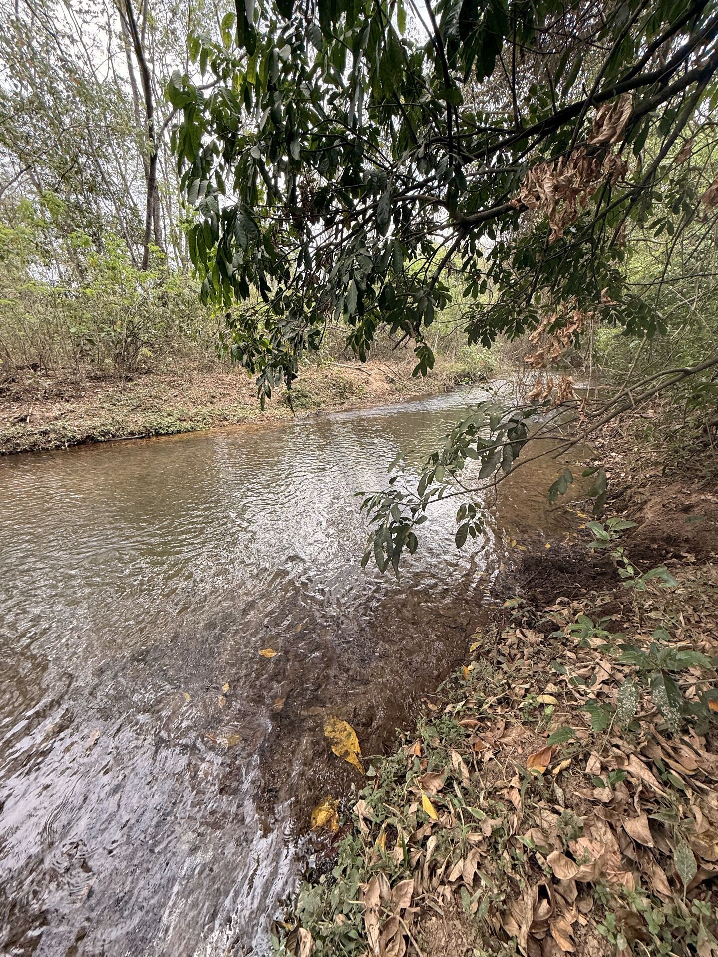 Chácara, 3 quartos, 5 m² - Foto 32