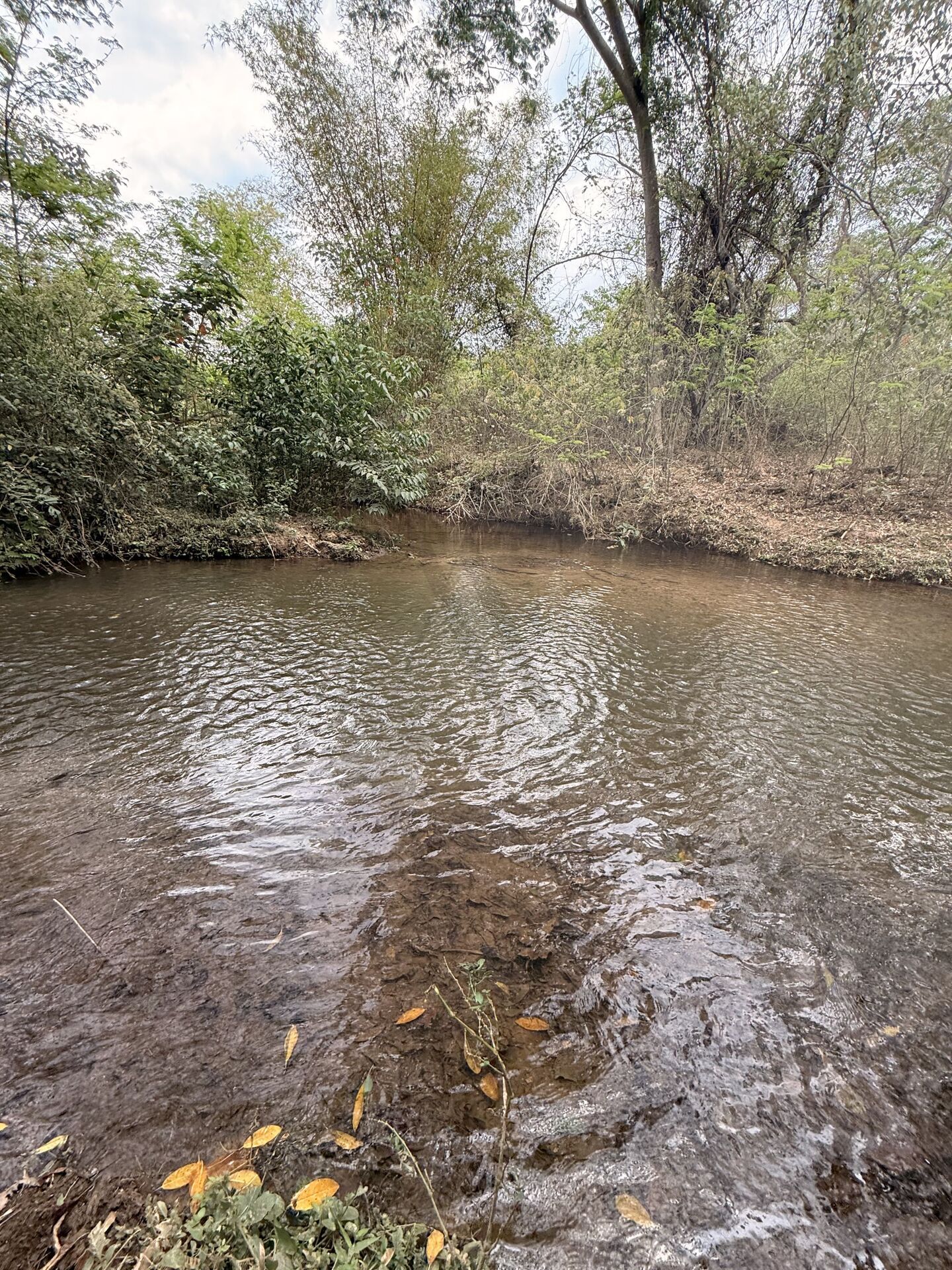 Chácara, 3 quartos, 5 m² - Foto 30