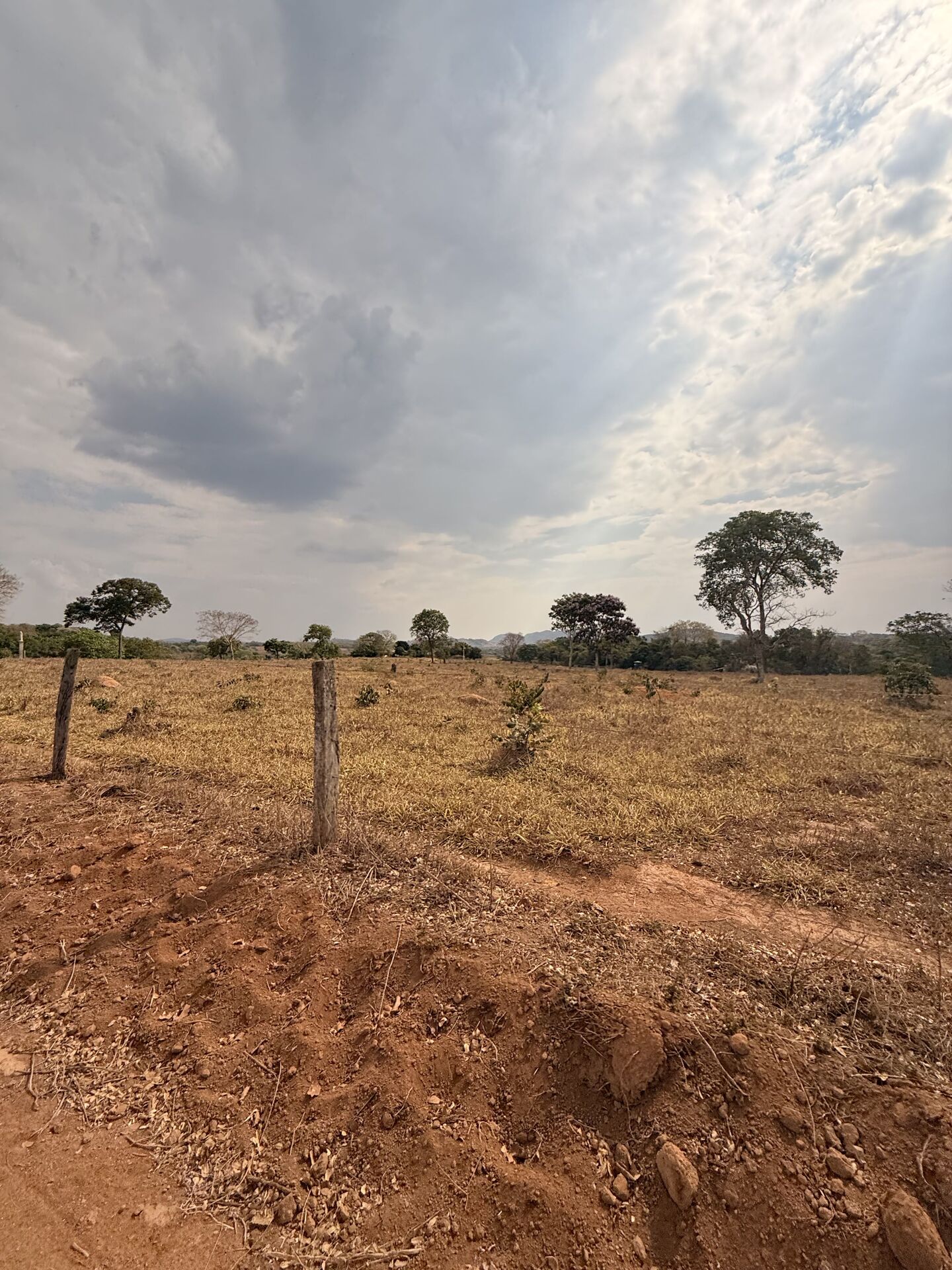 Chácara, 3 quartos, 5 m² - Foto 2