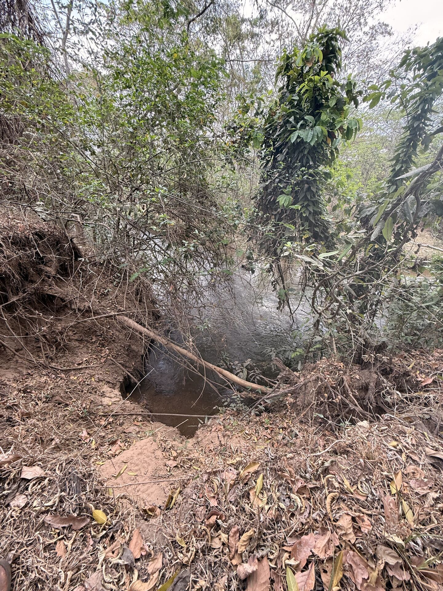 Chácara, 3 quartos, 5 m² - Foto 29