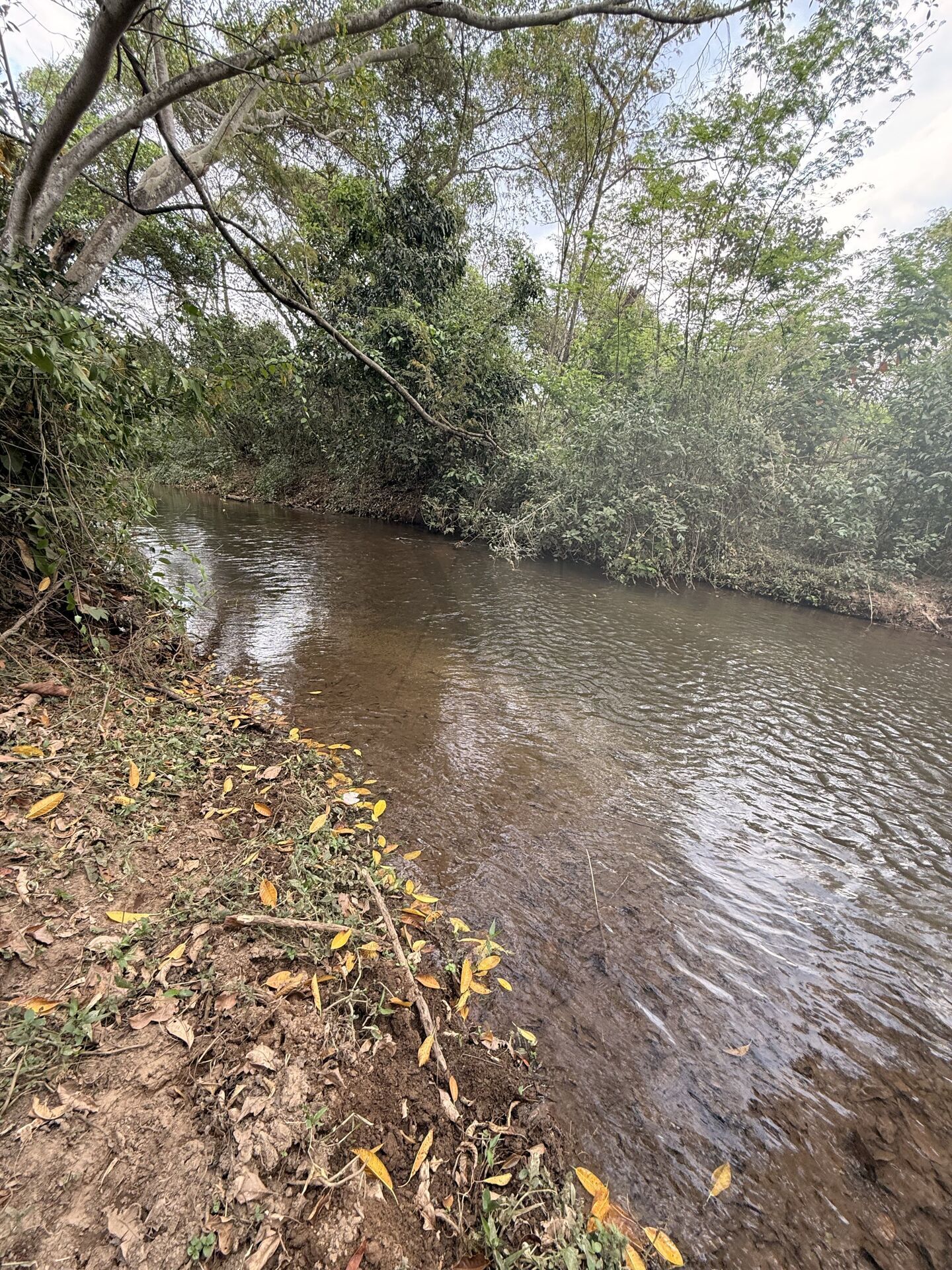 Chácara, 3 quartos, 5 m² - Foto 31