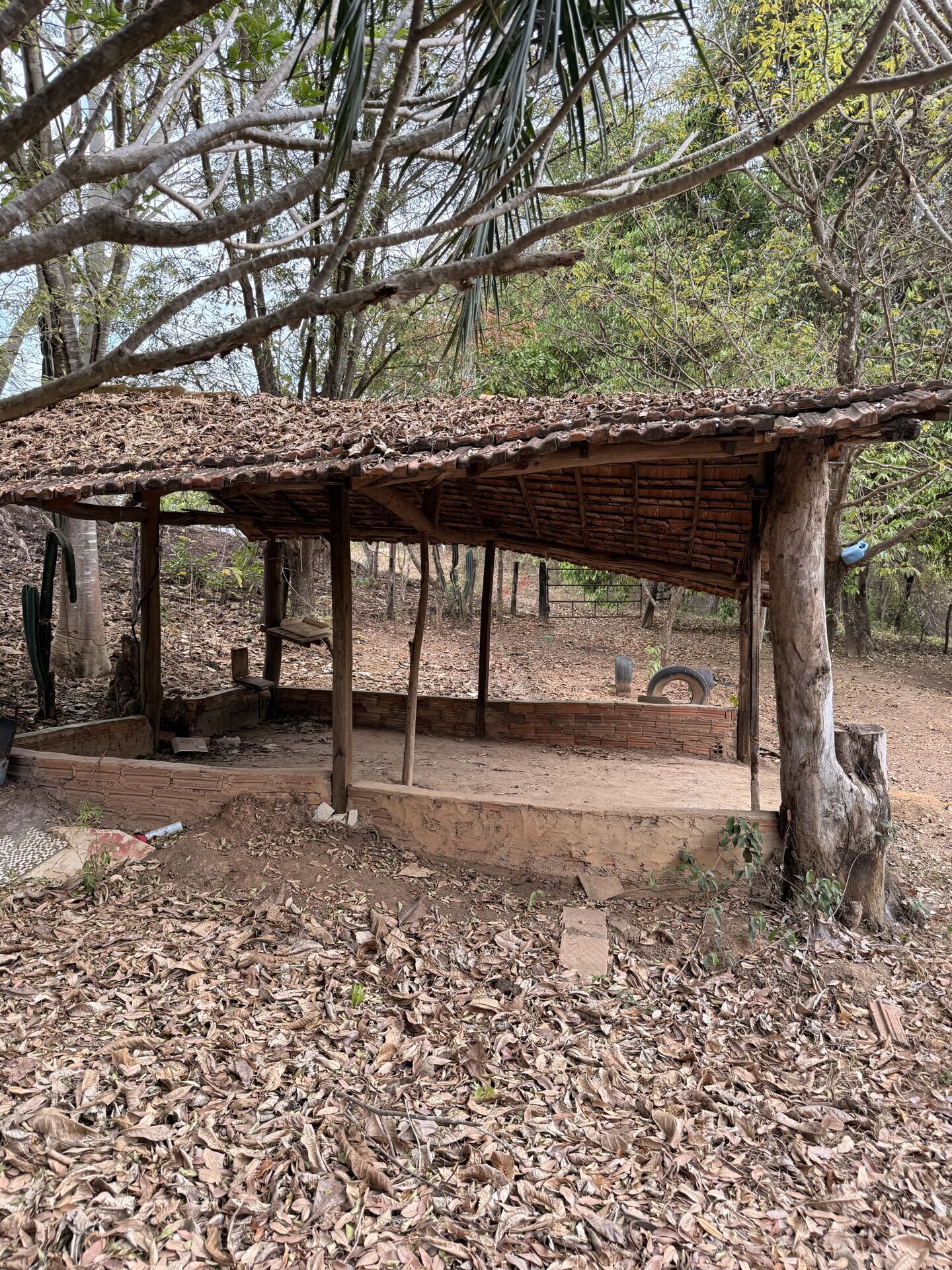 Chácara, 3 quartos, 5 m² - Foto 21