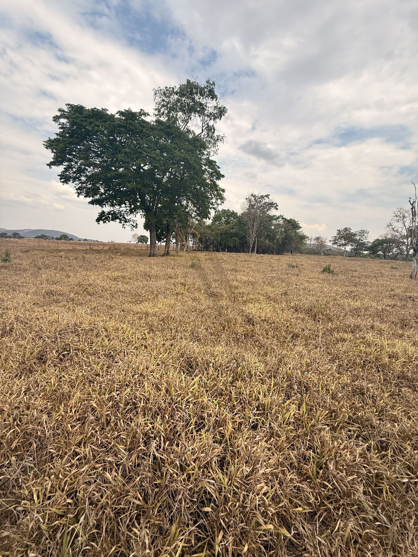 Chácara, 3 quartos, 5 m² - Foto 35