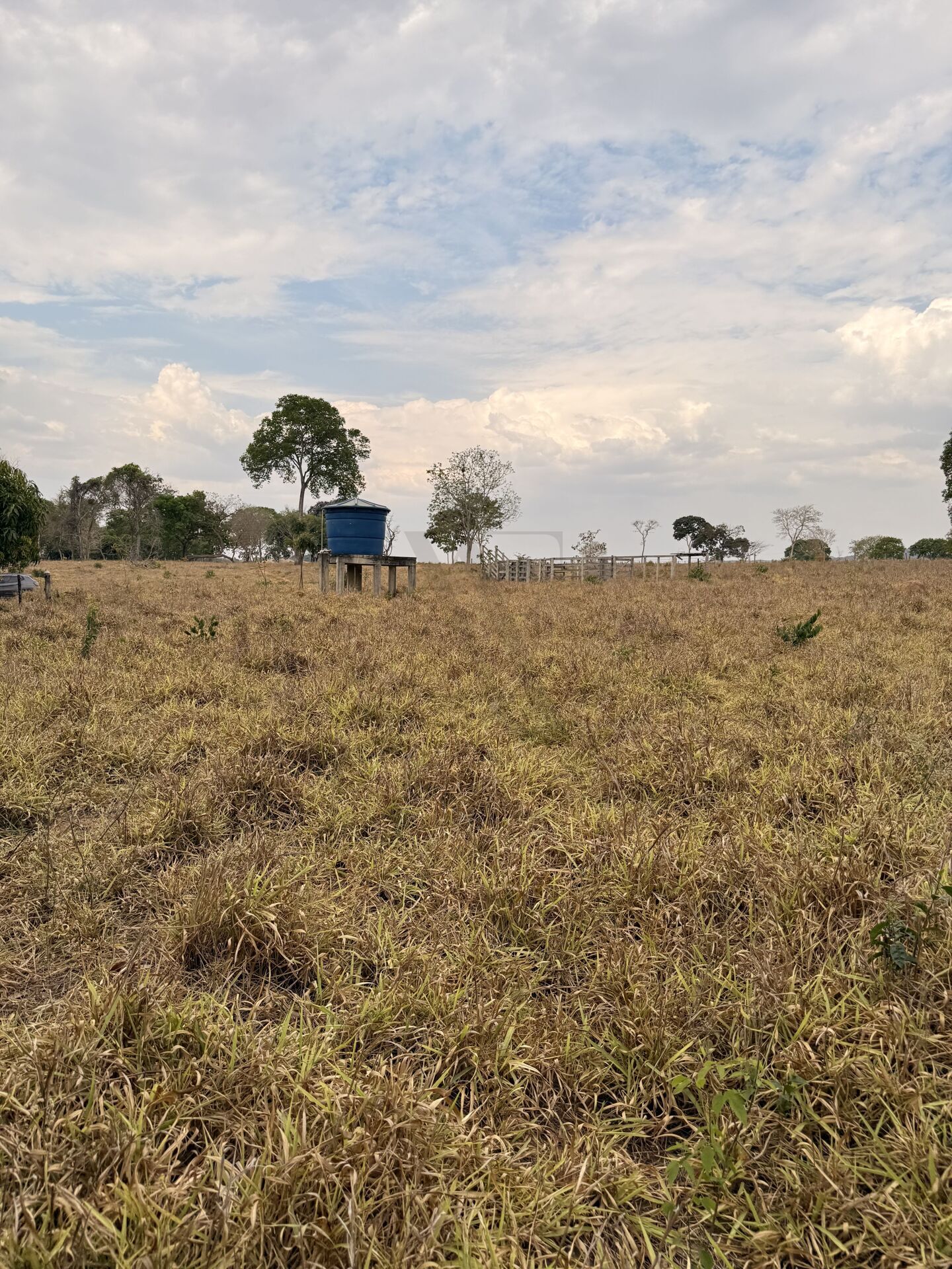 Chácara, 3 quartos, 5 m² - Foto 36