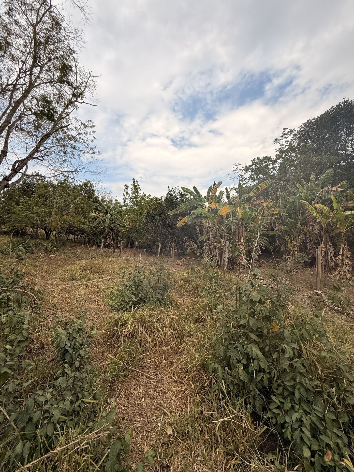 Chácara, 3 quartos, 5 m² - Foto 25