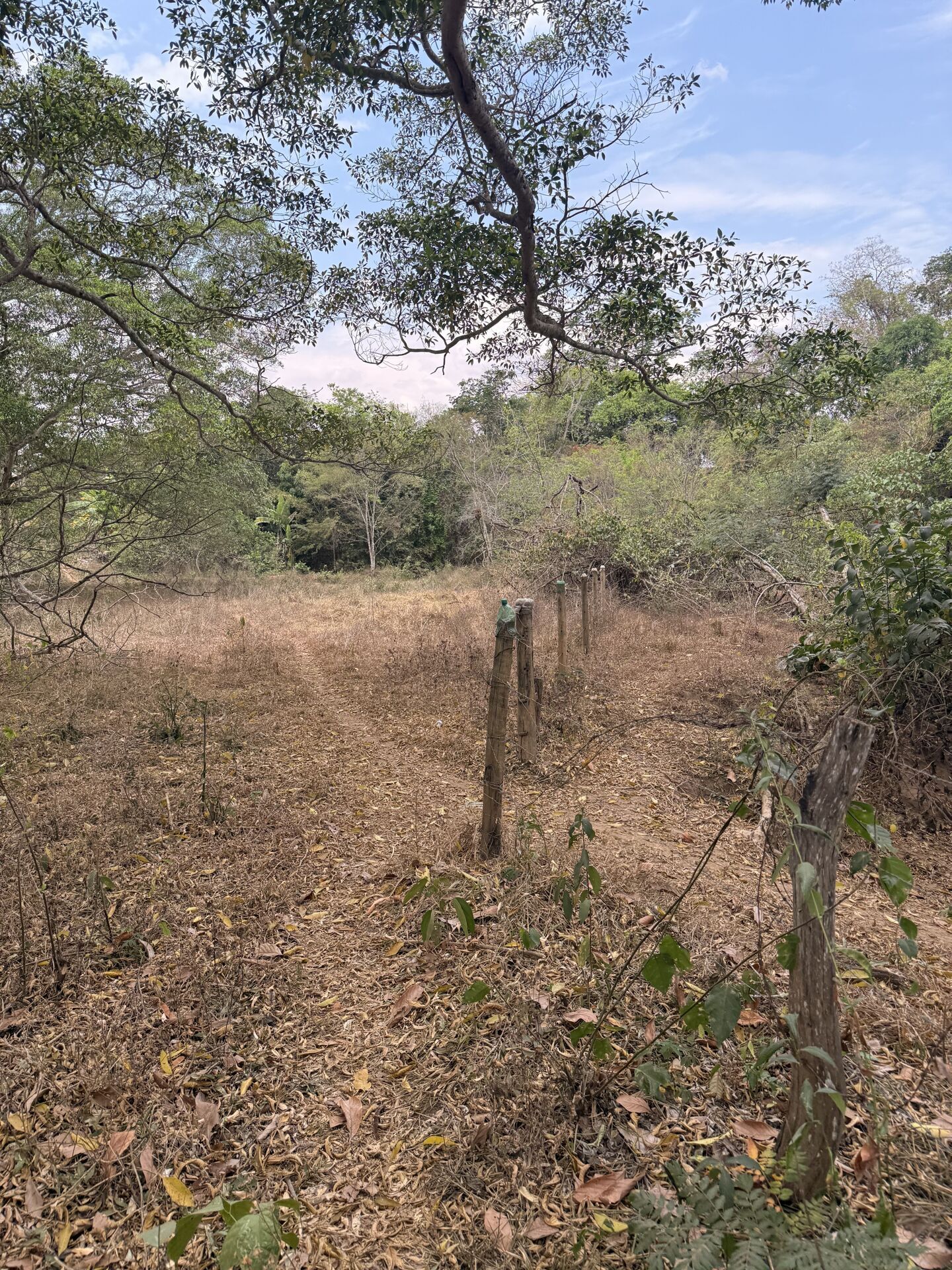 Chácara, 3 quartos, 5 m² - Foto 27