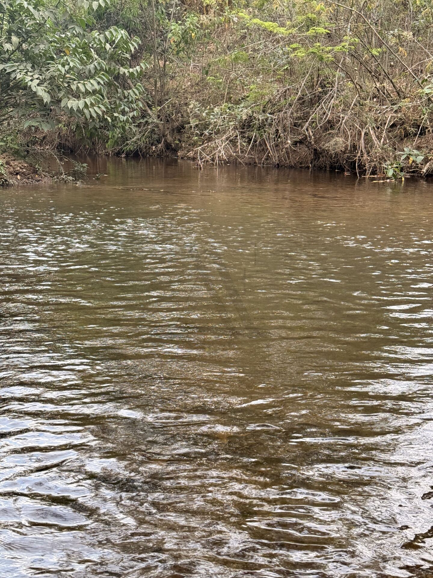 Chácara, 3 quartos, 5 m² - Foto 34