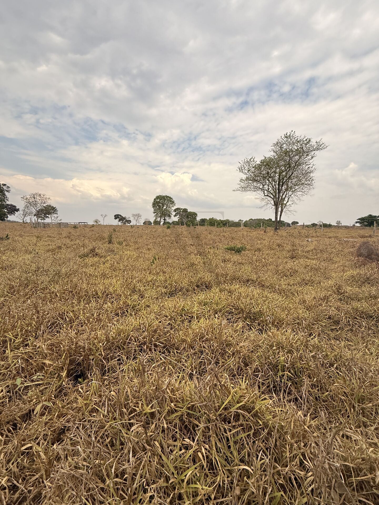 Chácara, 3 quartos, 5 m² - Foto 38