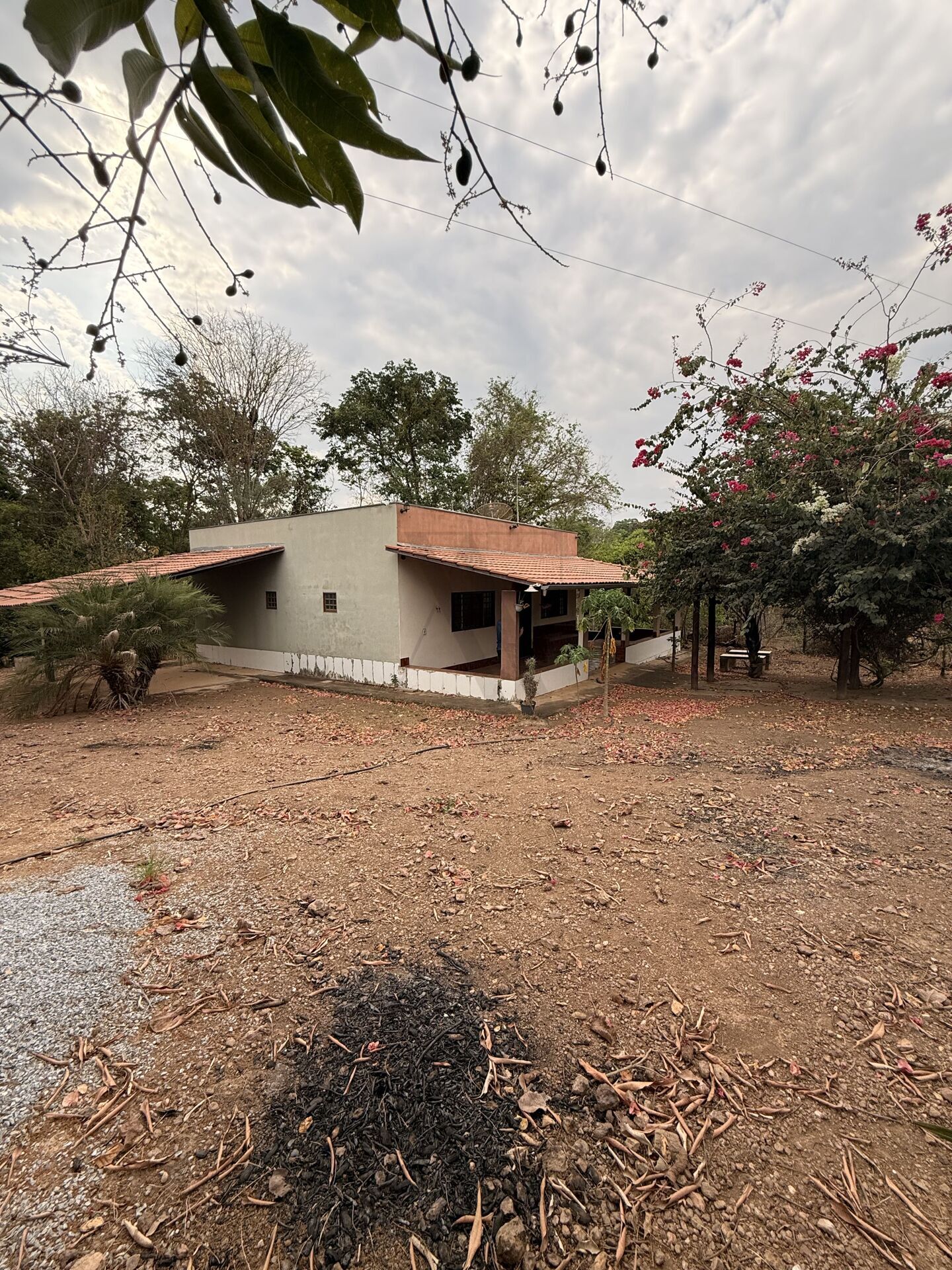 Chácara, 3 quartos, 5 m² - Foto 8