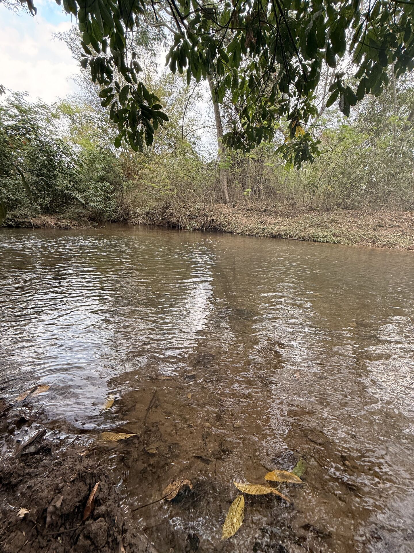 Chácara, 3 quartos, 5 m² - Foto 33