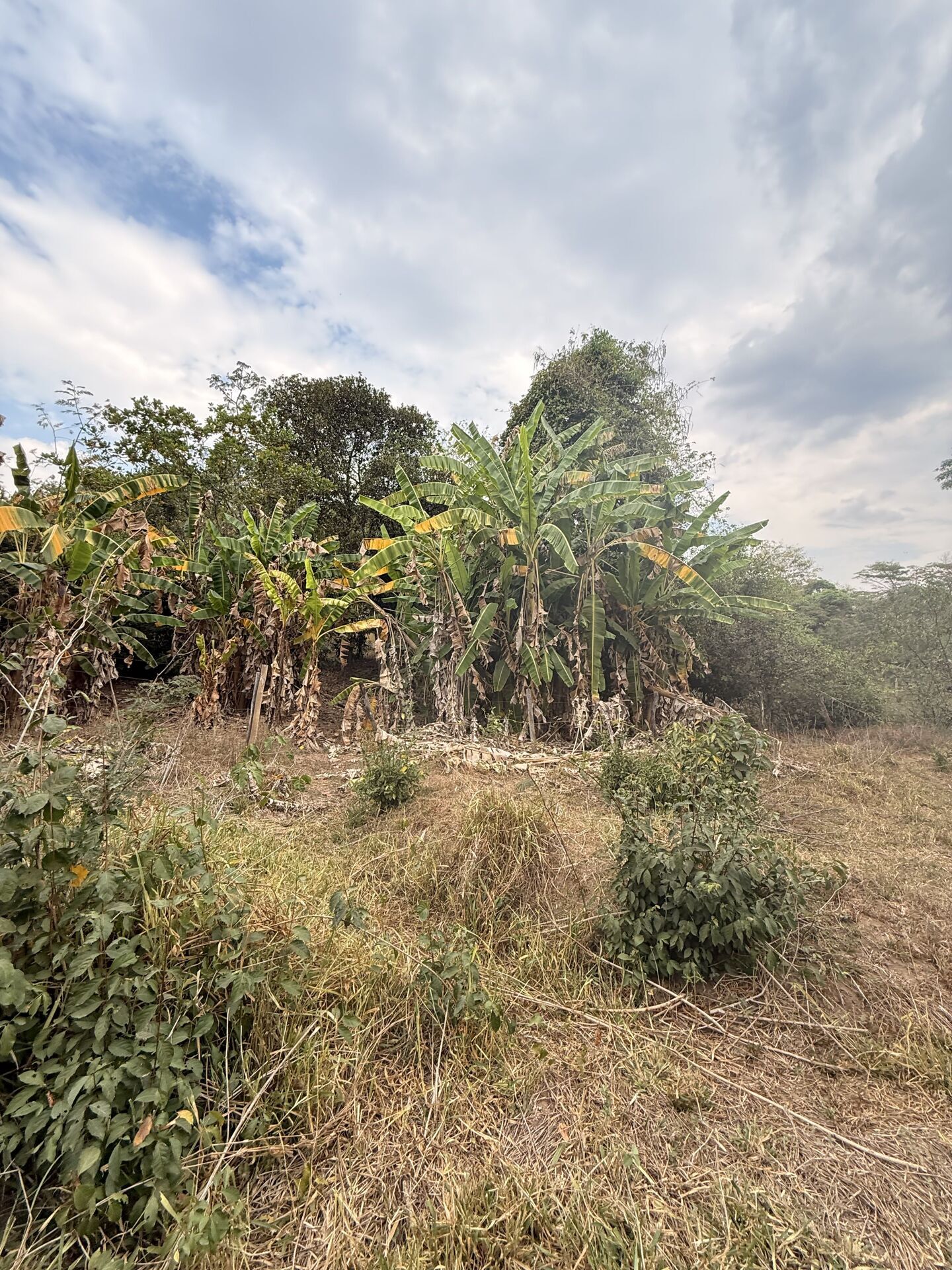 Chácara, 3 quartos, 5 m² - Foto 23