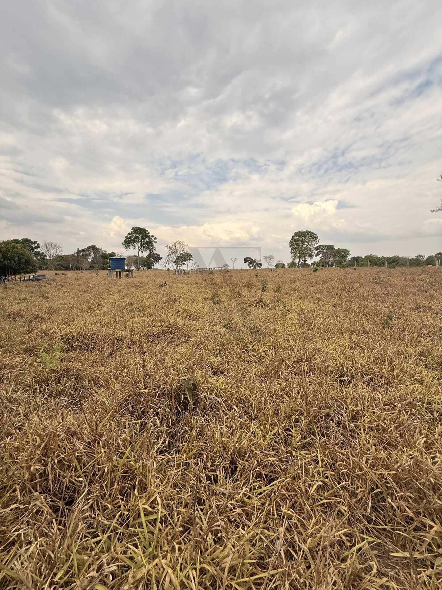 Chácara, 3 quartos, 5 m² - Foto 37