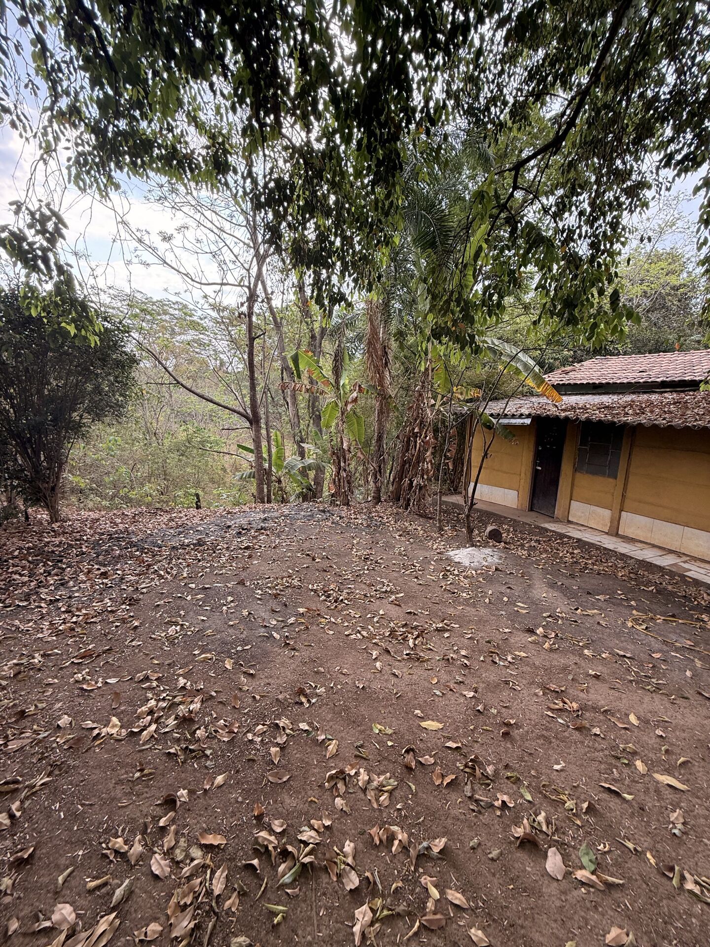 Chácara, 3 quartos, 5 m² - Foto 16