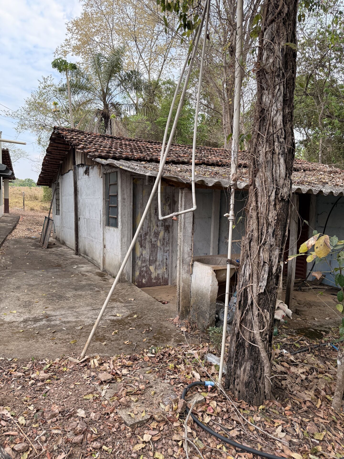 Chácara, 3 quartos, 5 m² - Foto 11