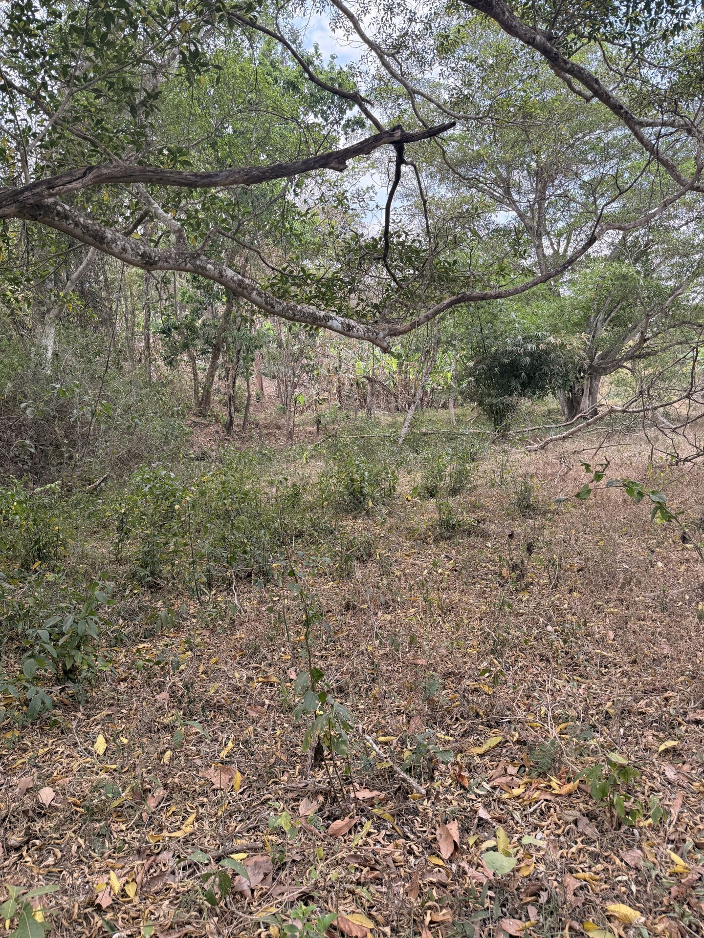 Chácara, 3 quartos, 5 m² - Foto 26