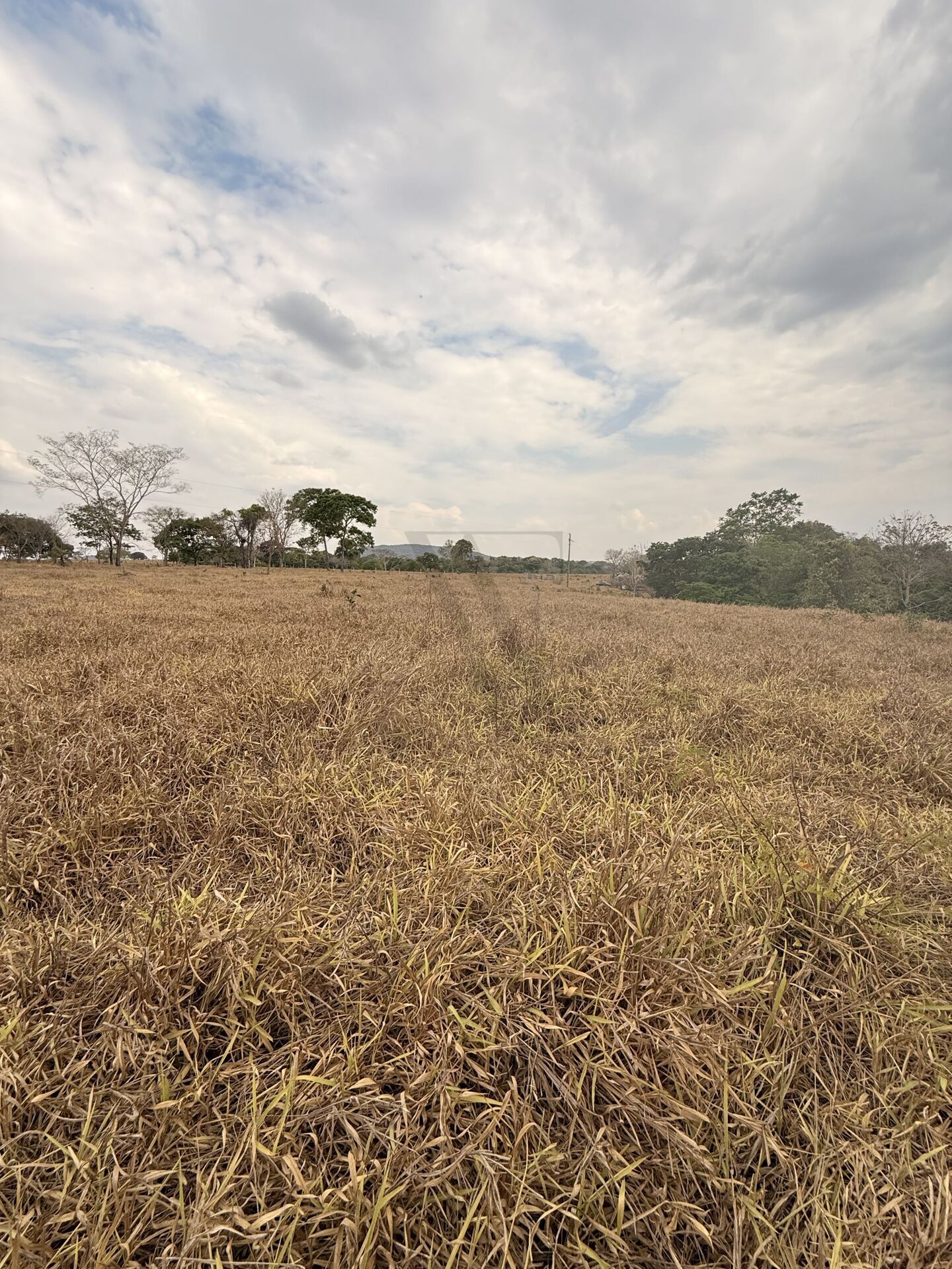 Chácara, 3 quartos, 5 m² - Foto 40