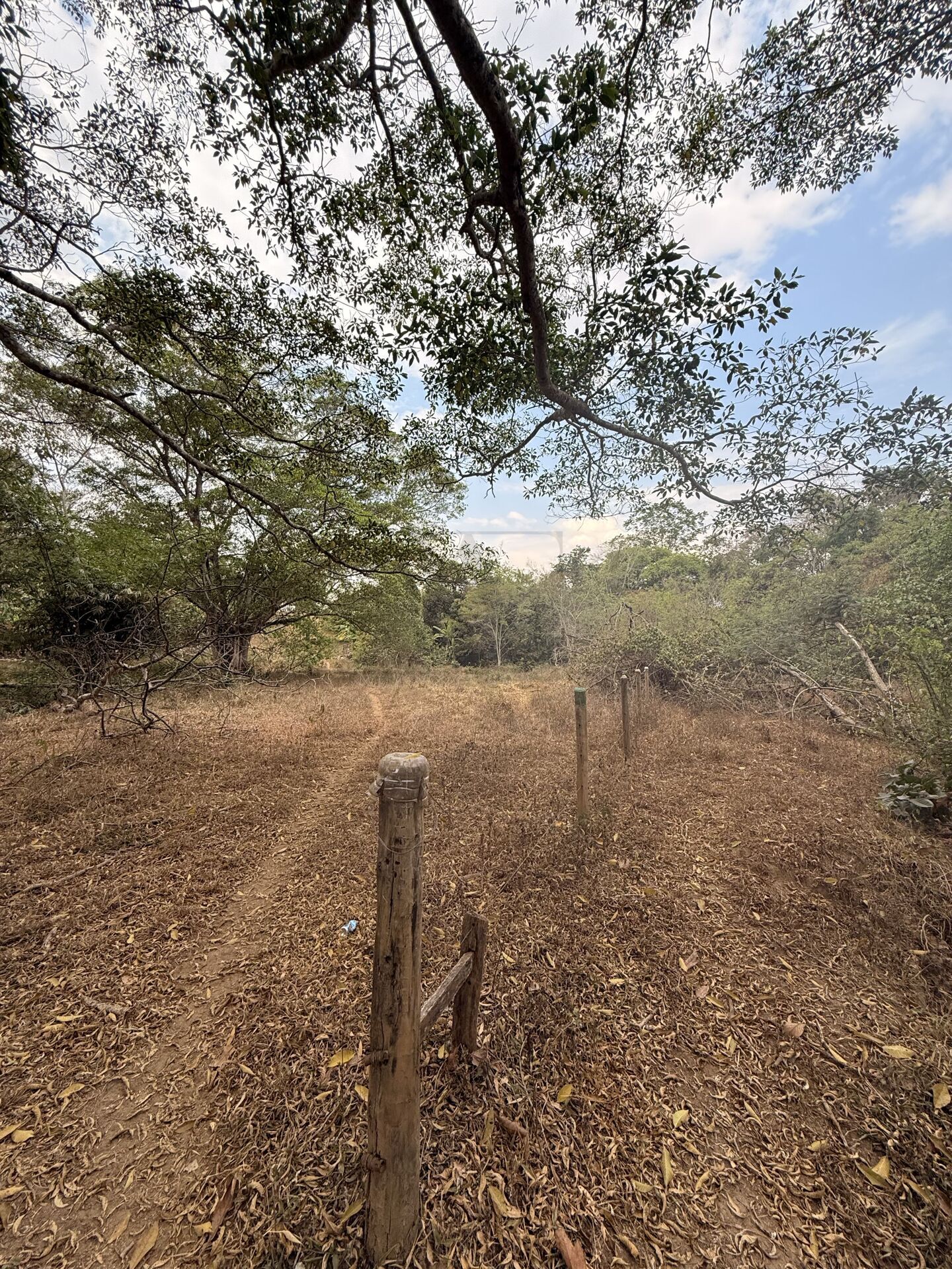 Chácara, 3 quartos, 5 m² - Foto 28