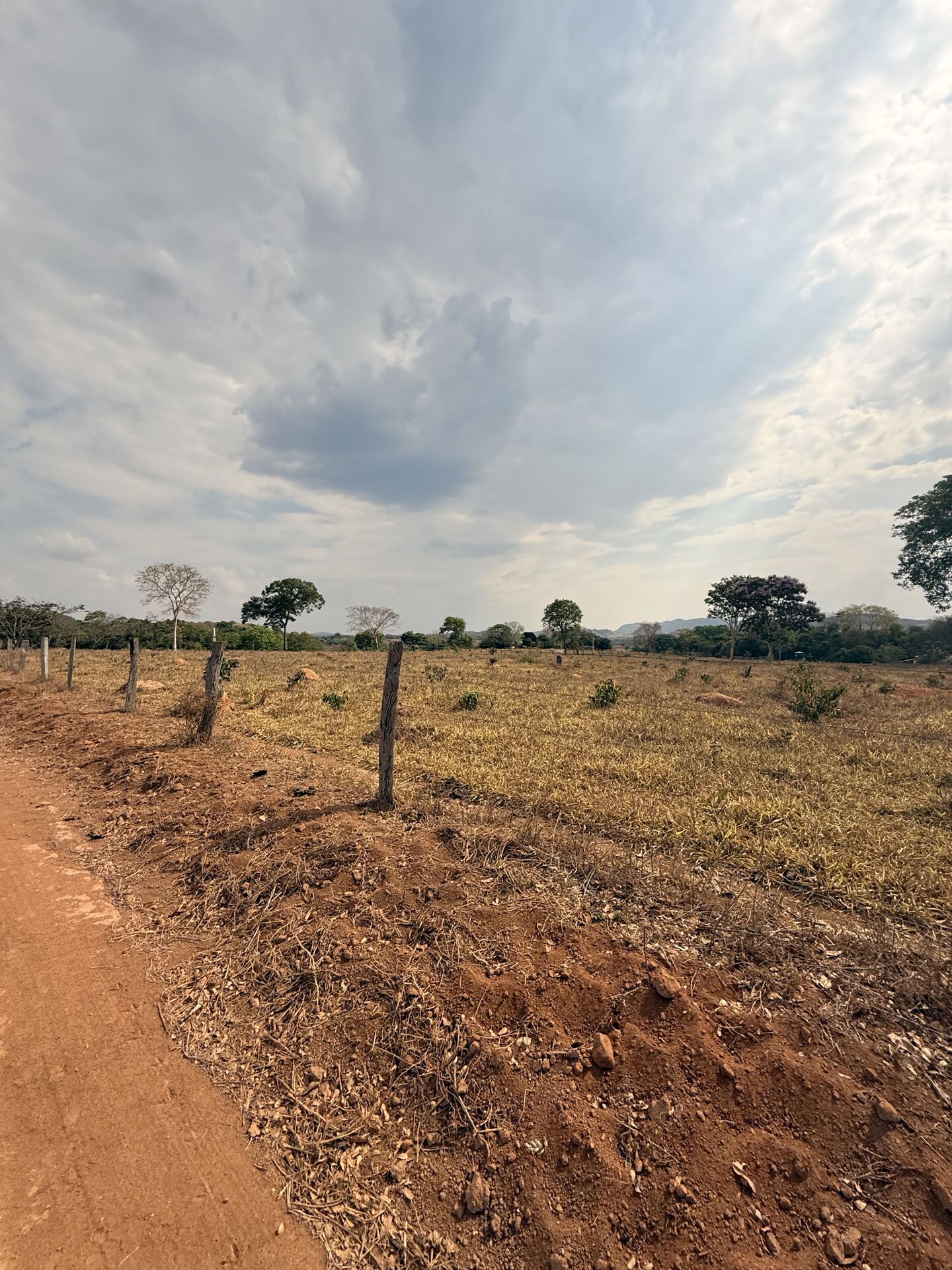 Chácara, 3 quartos, 5 m² - Foto 1