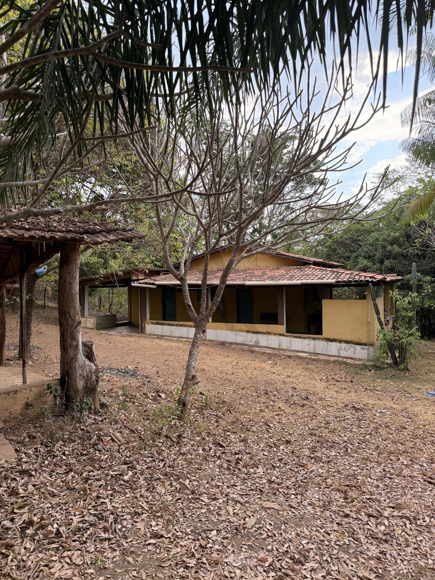 Chácara, 3 quartos, 5 m² - Foto 17