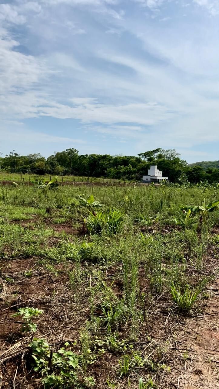 Fazenda à venda com 2 quartos, 4550m² - Foto 16