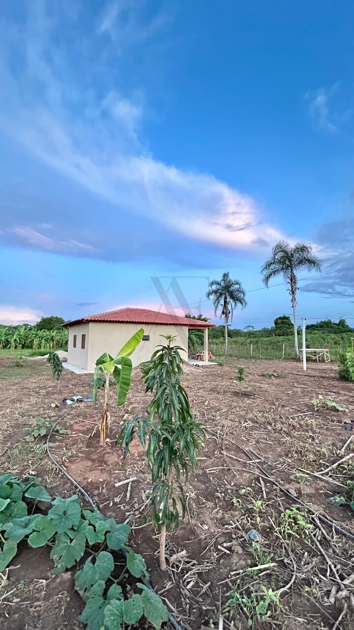 Sítio, 2 quartos, 4550 m² - Foto 14