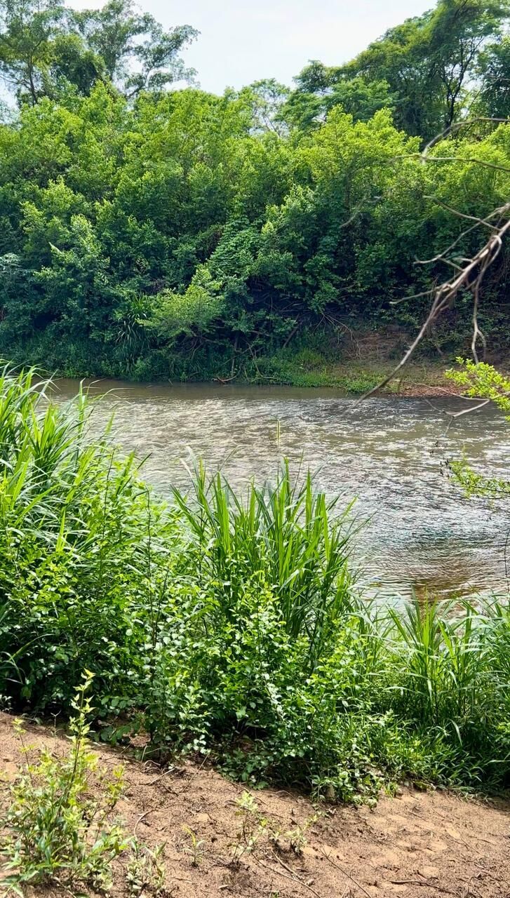 Sítio, 2 quartos, 4550 m² - Foto 15