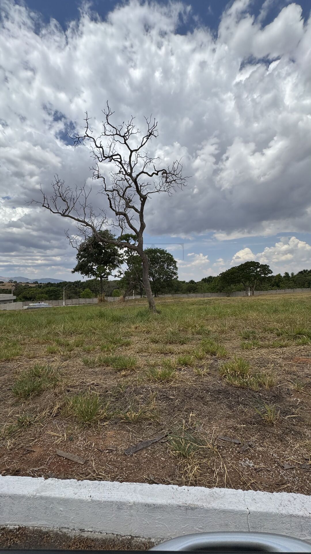 Terreno, 455 m² - Foto 3