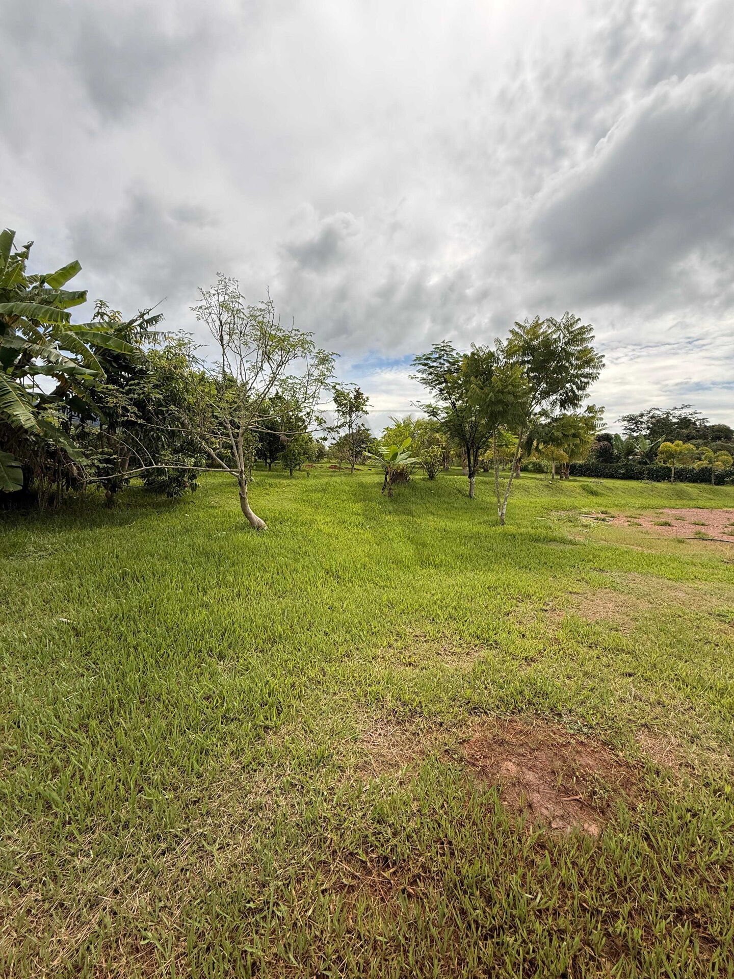 Sítio, 1300 m² - Foto 9