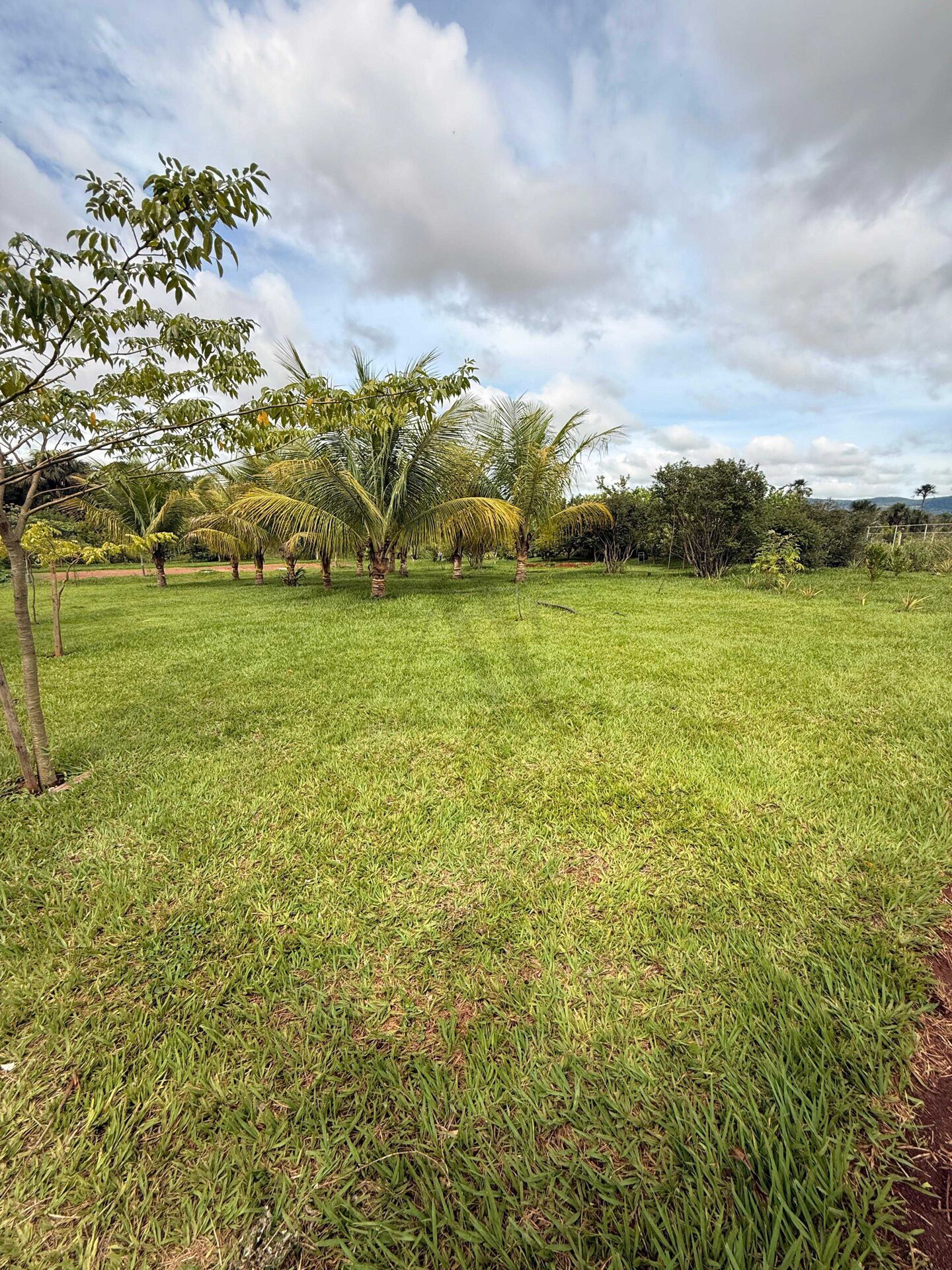 Sítio, 1300 m² - Foto 4